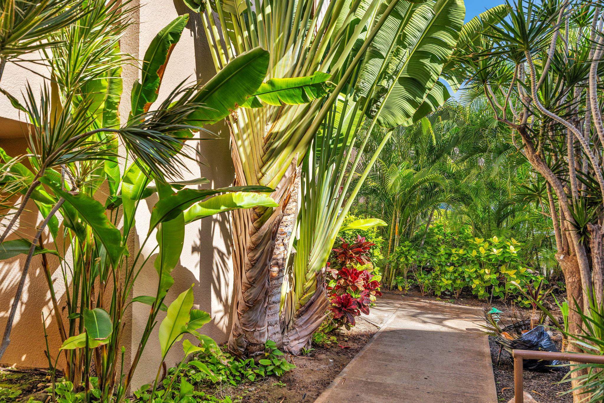 Kamaole Sands condo # 3-403, Kihei, Hawaii - photo 32 of 40