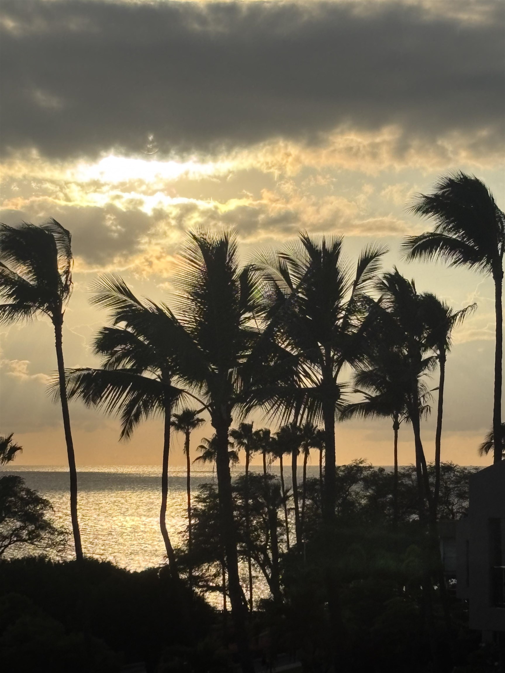 Kamaole Sands condo # 3-403, Kihei, Hawaii - photo 39 of 39