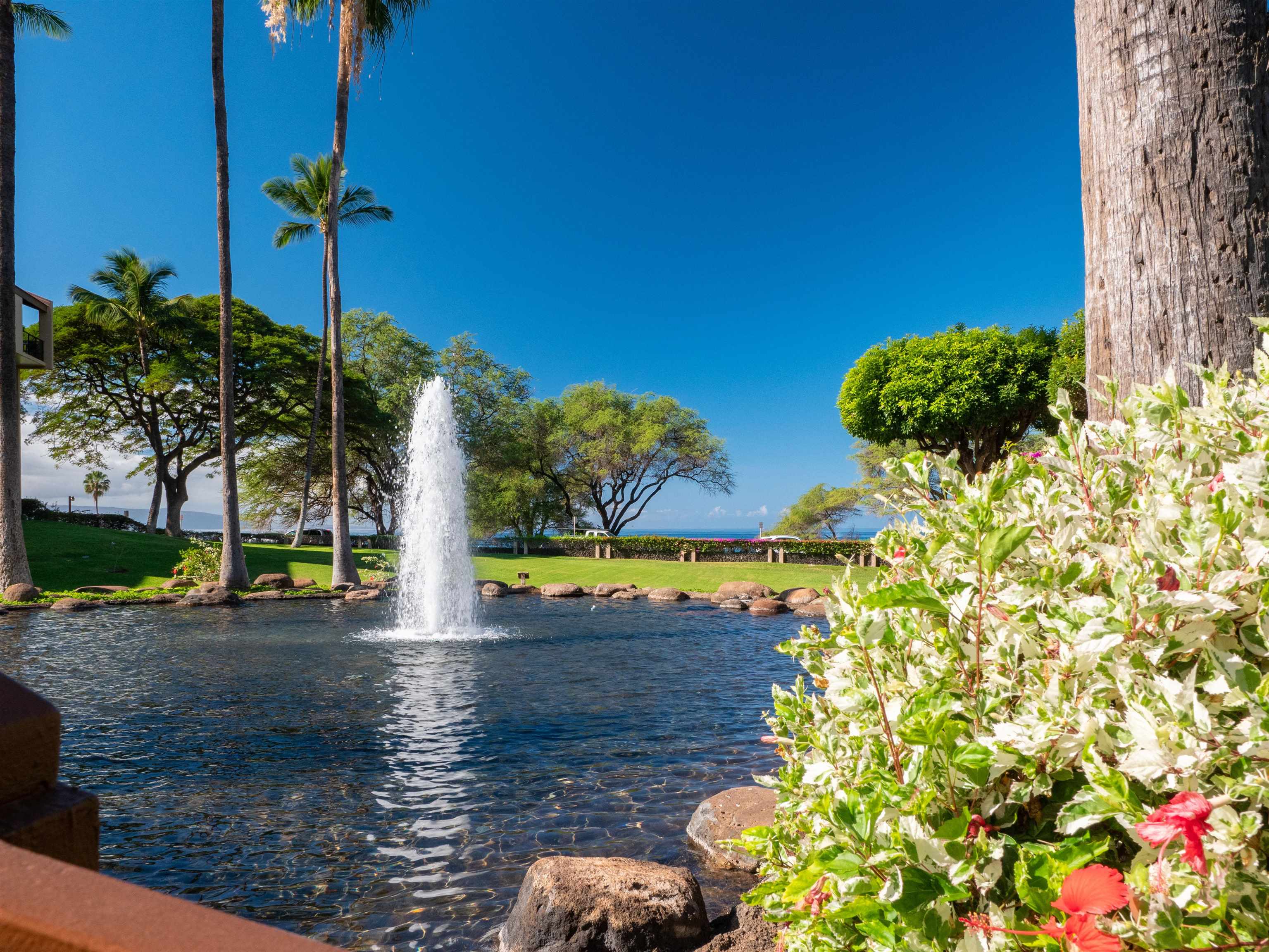 Kamaole Sands condo # 4-205, Kihei, Hawaii - photo 25 of 44