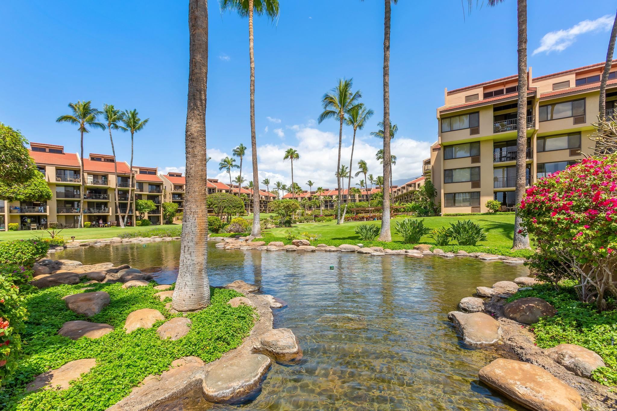Kamaole Sands condo # 4301, Kihei, Hawaii - photo 7 of 46