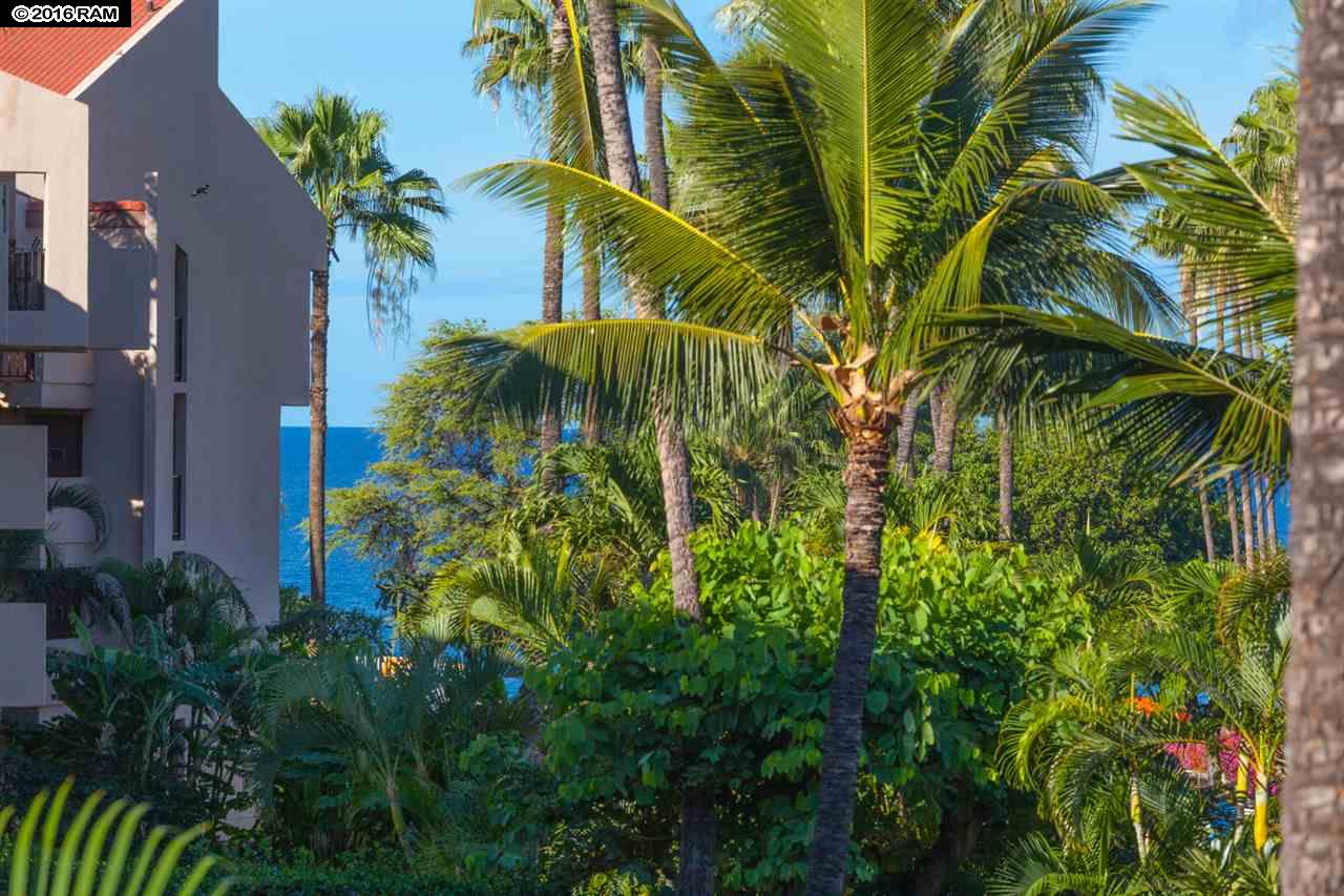 Kamaole Sands condo # 5-202, Kihei, Hawaii - photo 3 of 29