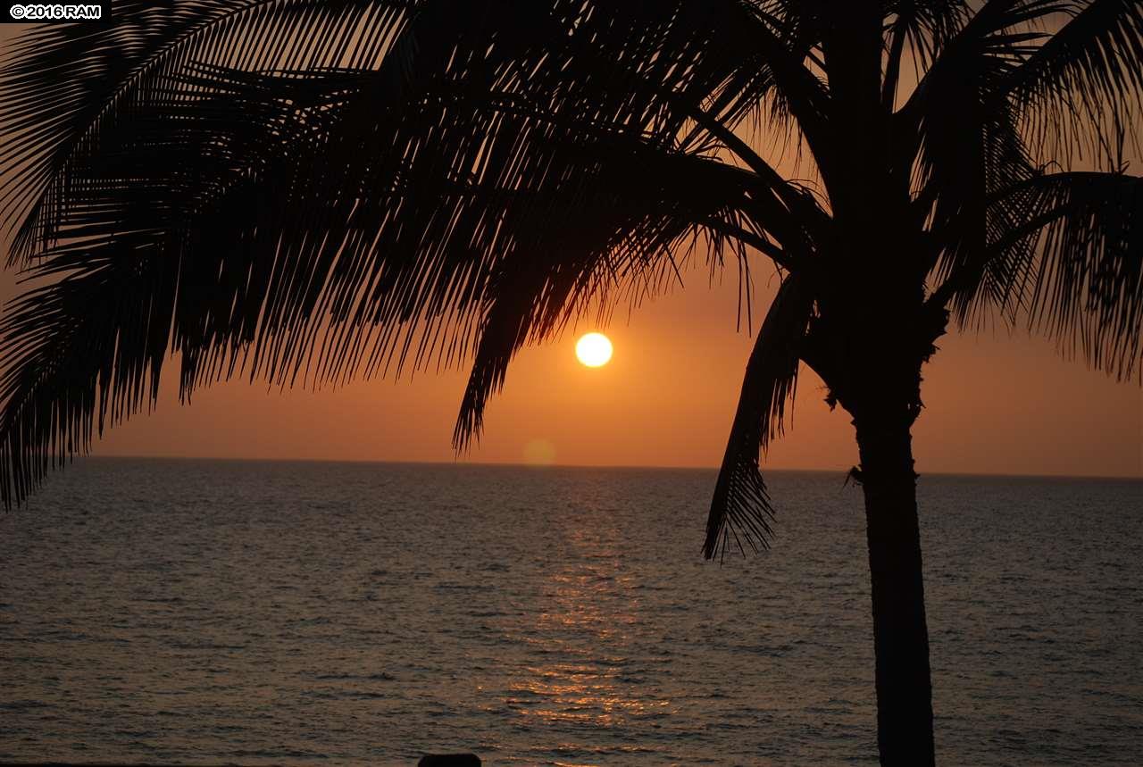 Kamaole Sands condo # 5-202, Kihei, Hawaii - photo 29 of 29