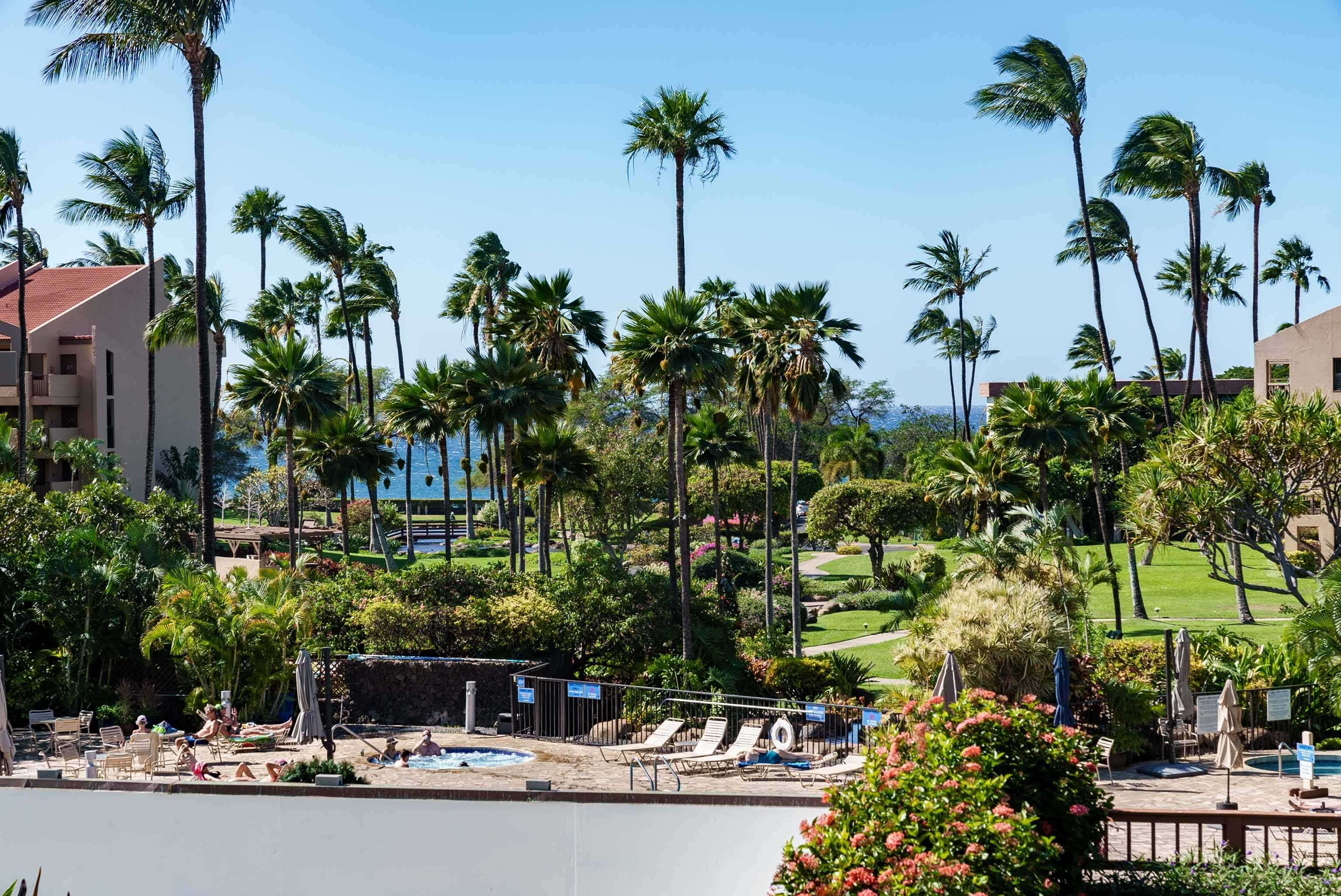 Kamaole Sands condo # 5-209, Kihei, Hawaii - photo 3 of 38