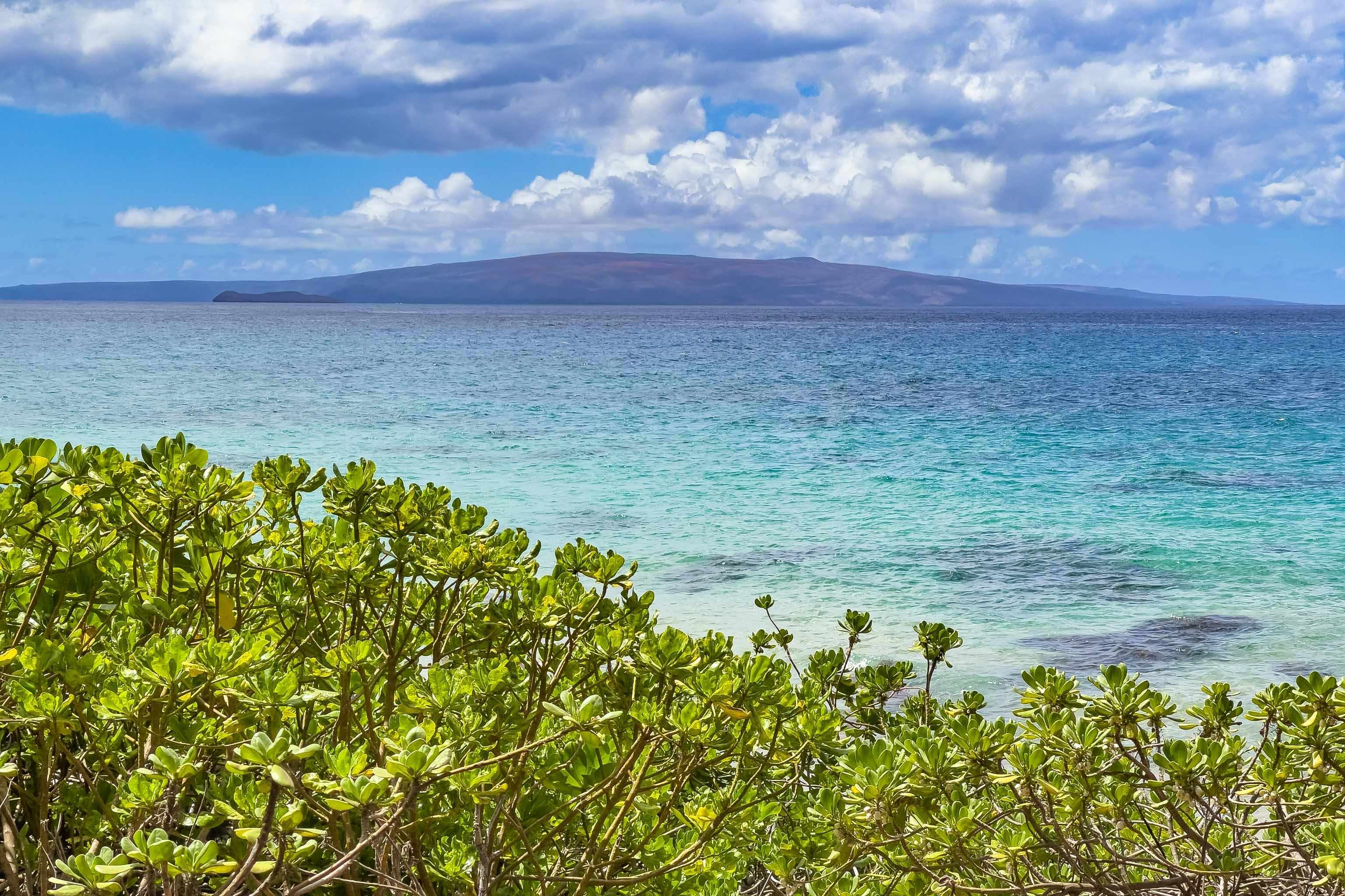 Kamaole Sands condo # 5-209, Kihei, Hawaii - photo 29 of 38