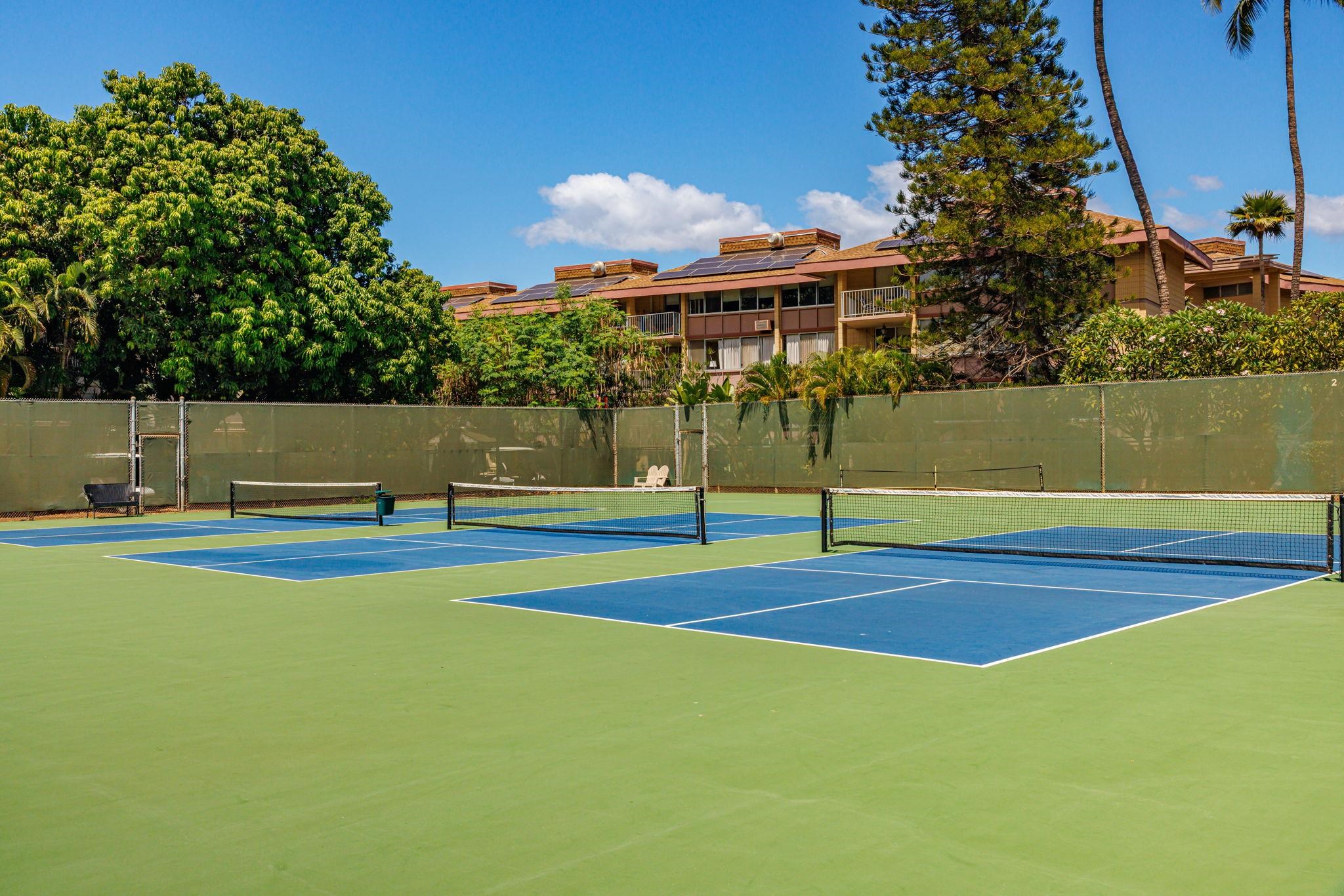Kamaole Sands condo # 5-214, Kihei, Hawaii - photo 24 of 50