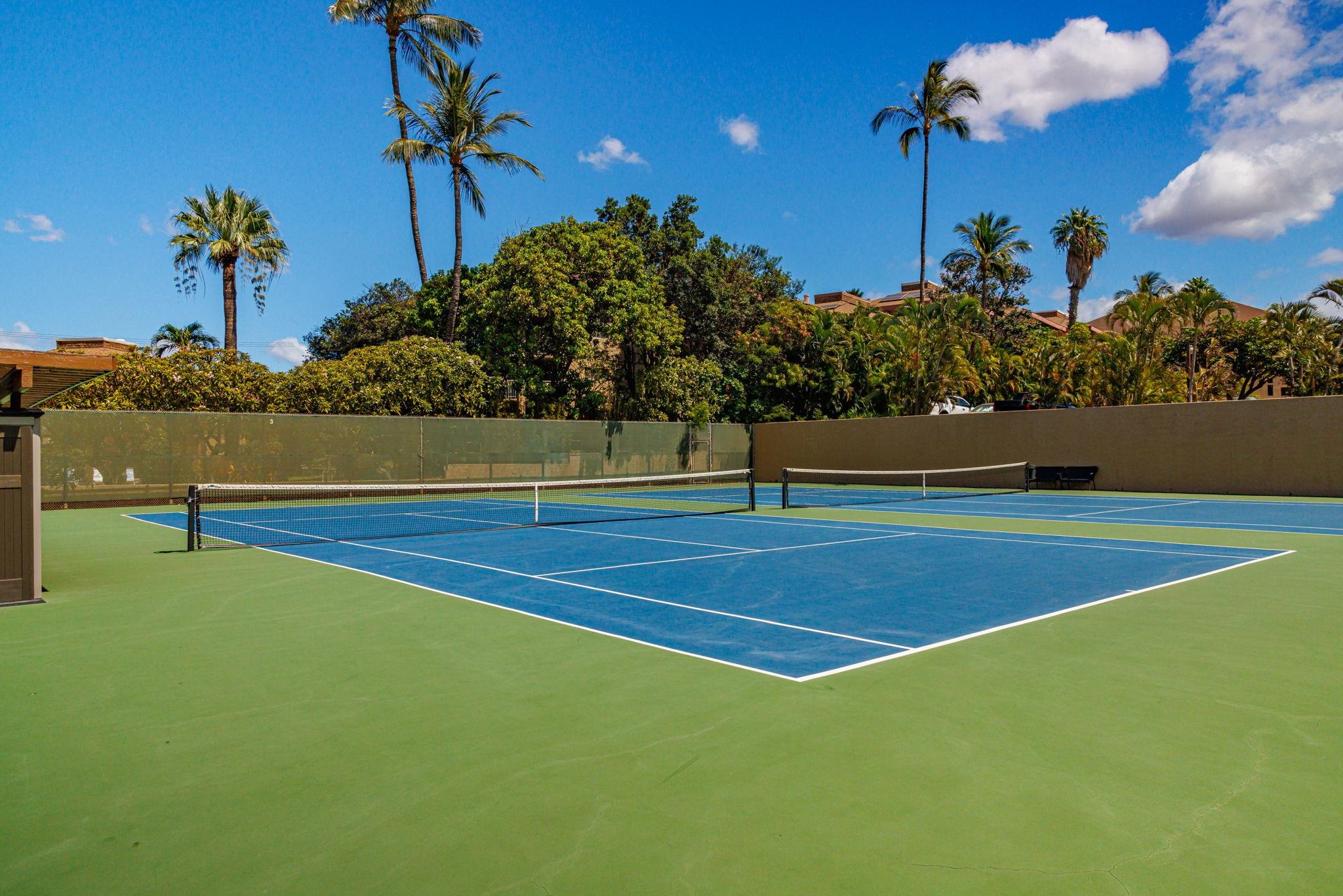 Kamaole Sands condo # 5-214, Kihei, Hawaii - photo 25 of 50
