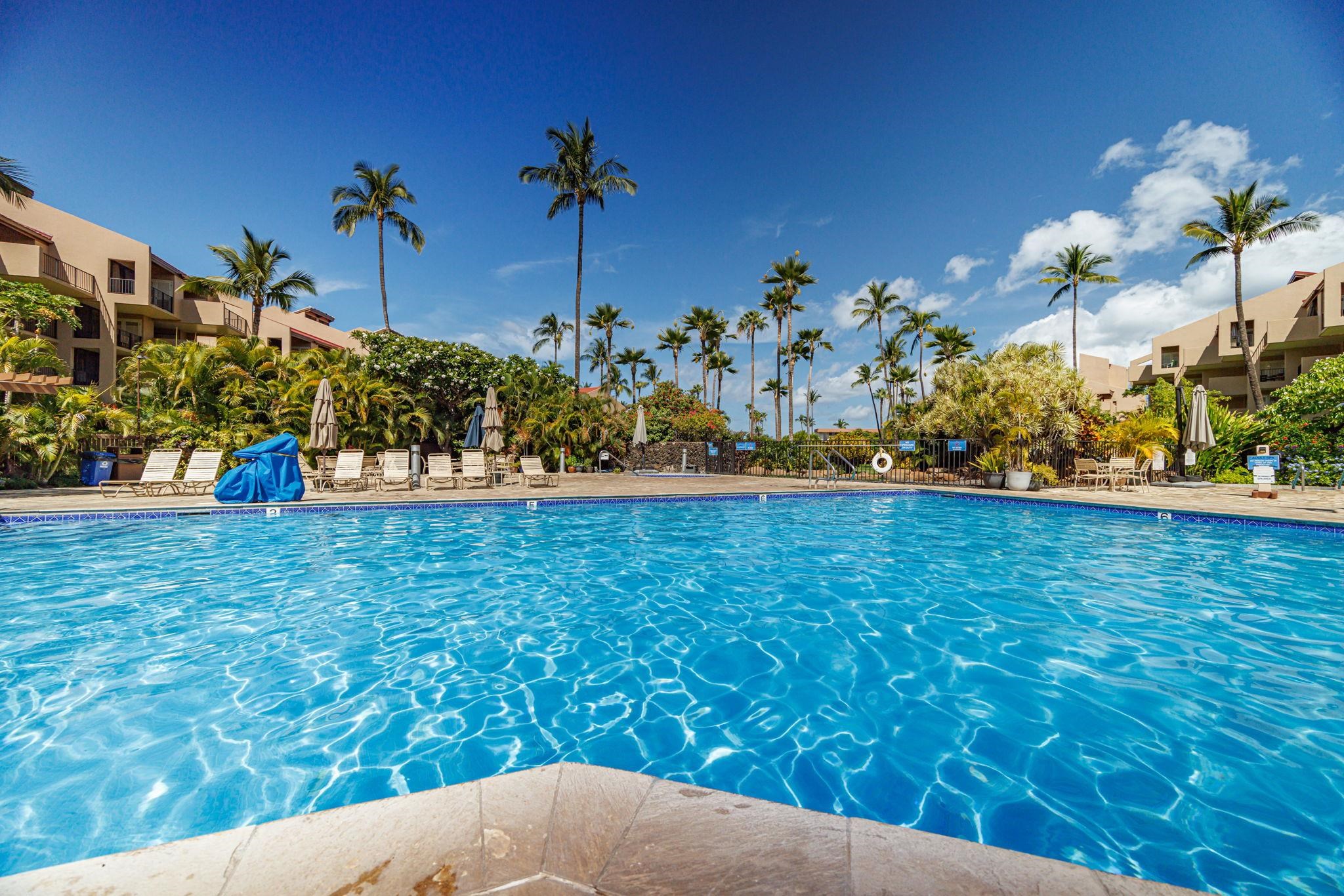 Kamaole Sands condo # 5-214, Kihei, Hawaii - photo 27 of 50