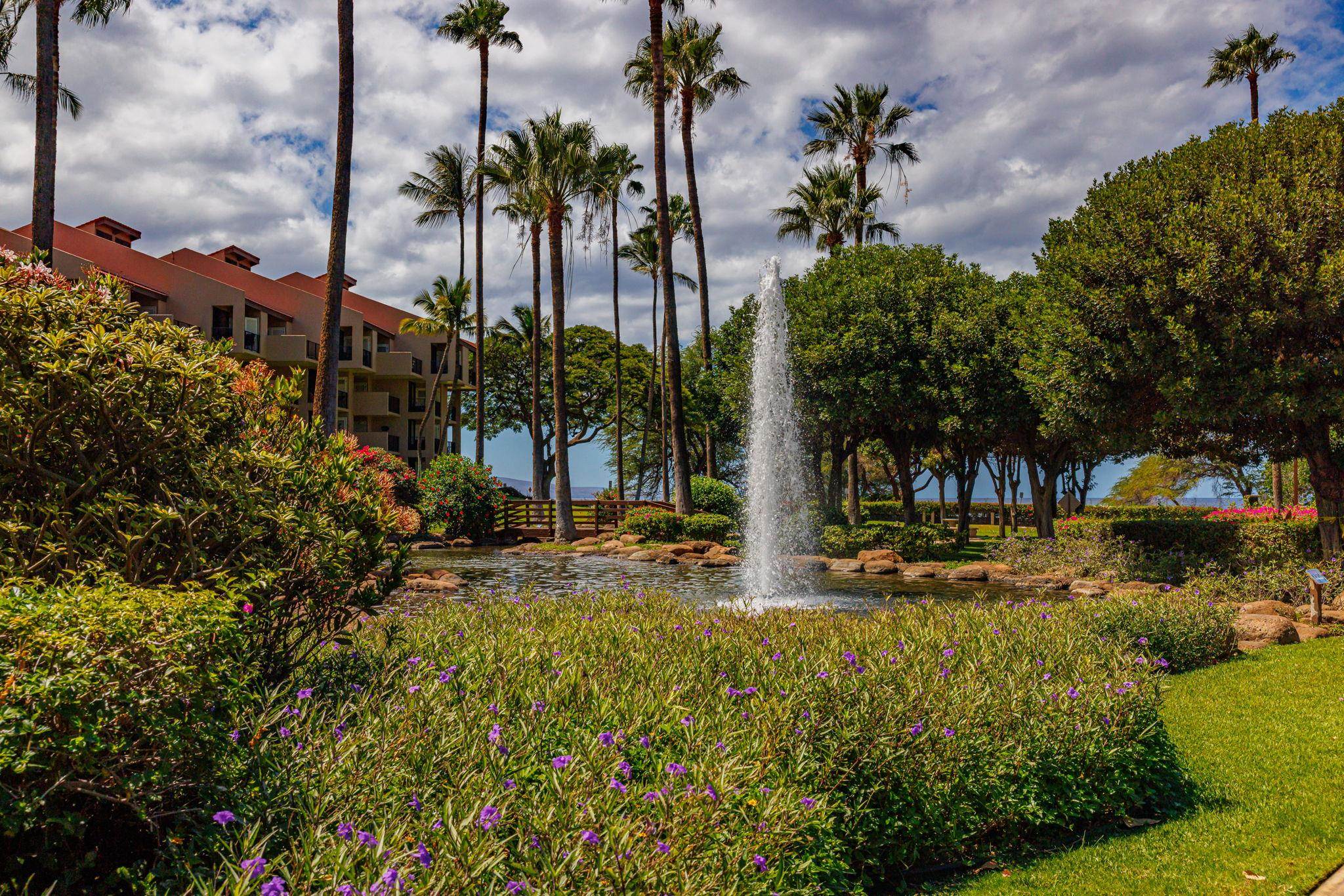 Kamaole Sands condo # 5-214, Kihei, Hawaii - photo 36 of 50