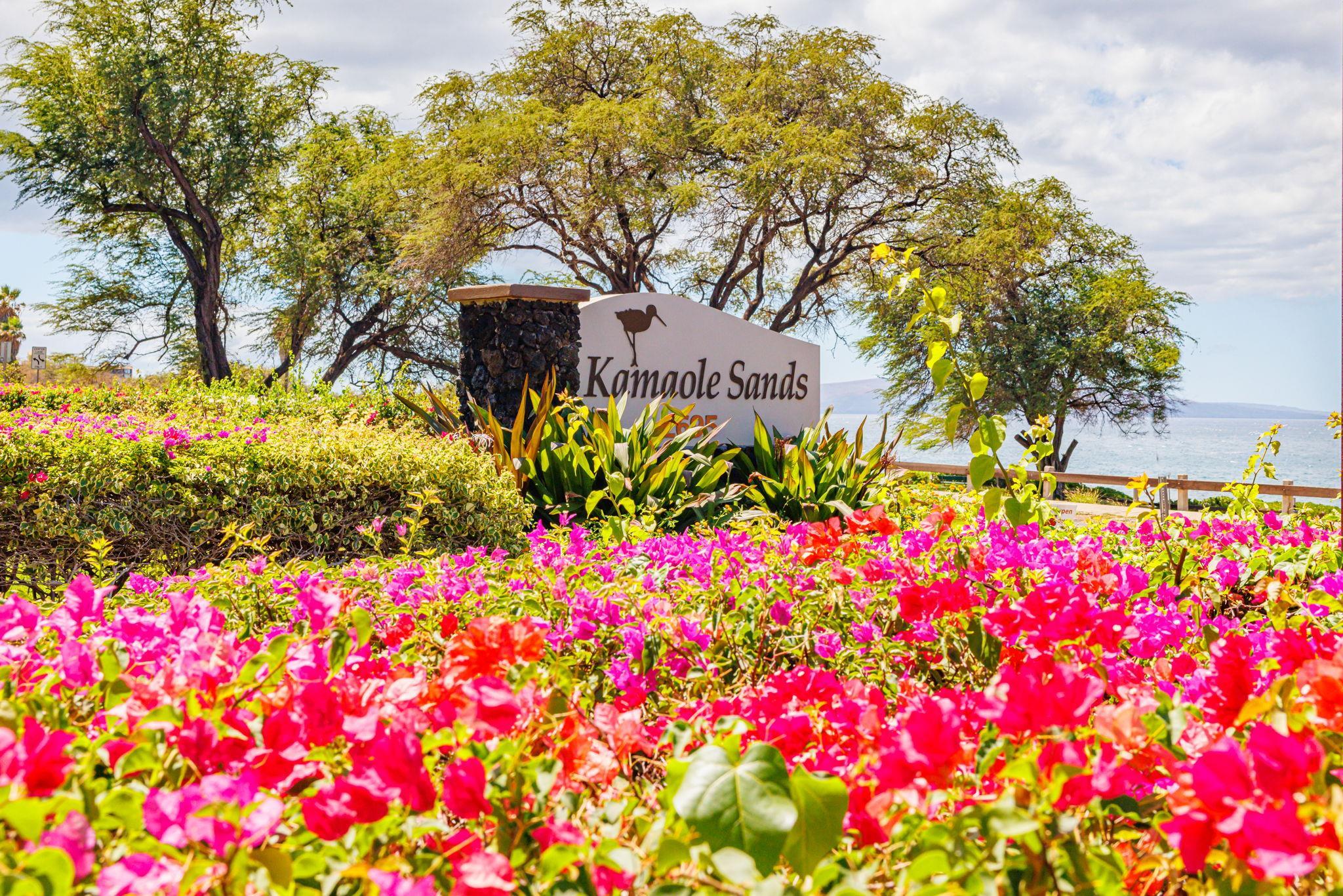 Kamaole Sands condo # 5-214, Kihei, Hawaii - photo 47 of 50