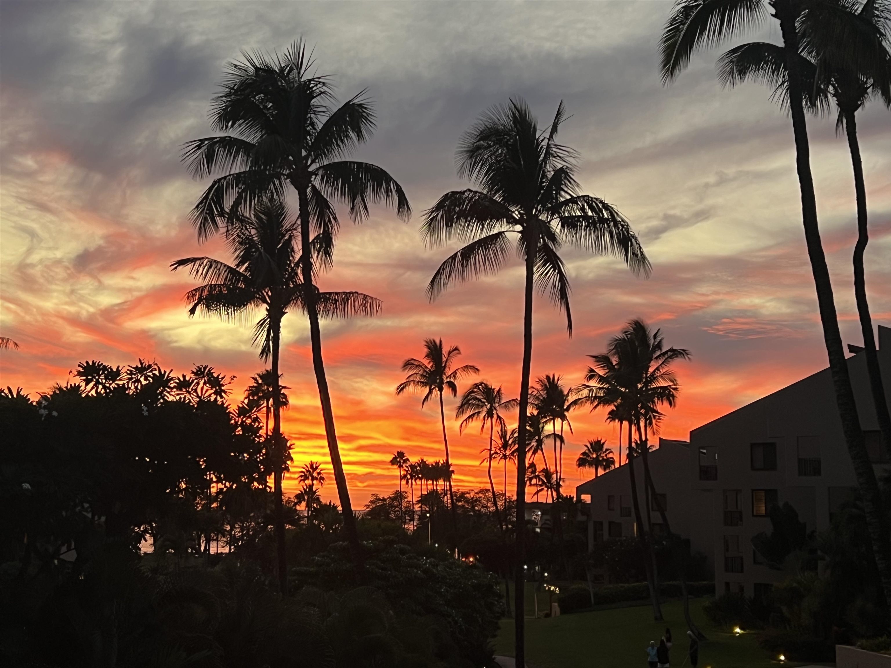 Kamaole Sands condo # 5-214, Kihei, Hawaii - photo 48 of 50