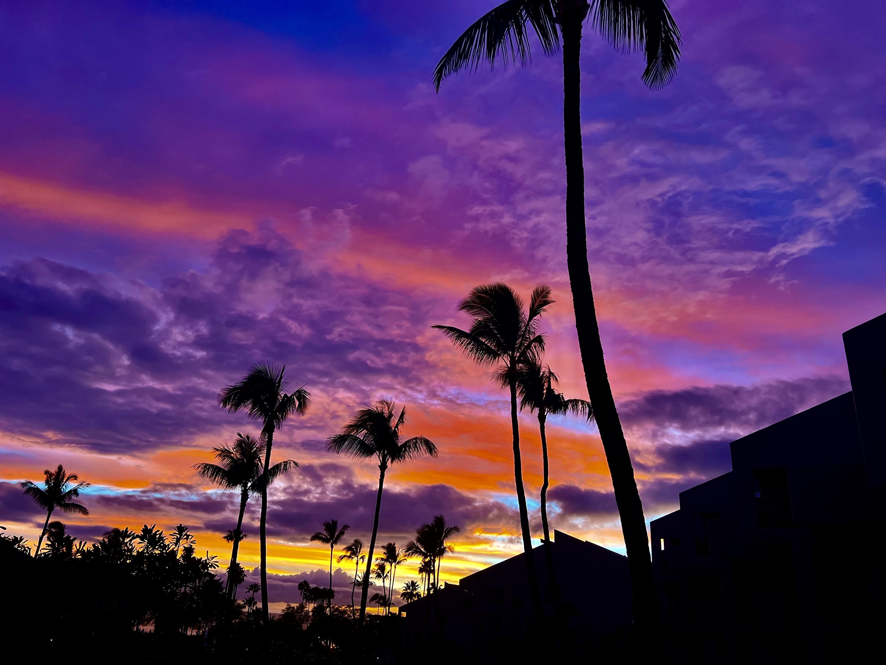 Kamaole Sands condo # 5-214, Kihei, Hawaii - photo 49 of 50