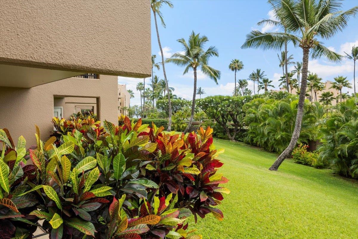 Kamaole Sands condo # 6-108, Kihei, Hawaii - photo 28 of 50