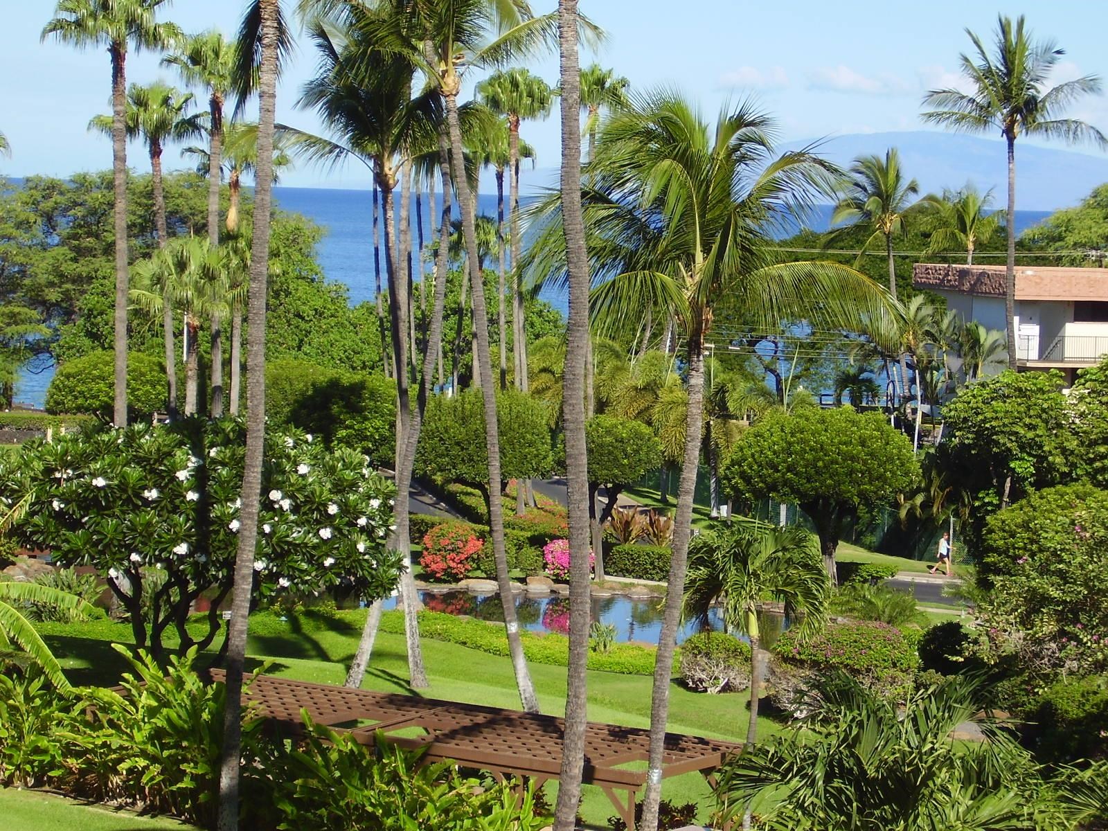 Kamaole Sands condo # 6-402, Kihei, Hawaii - photo 38 of 47