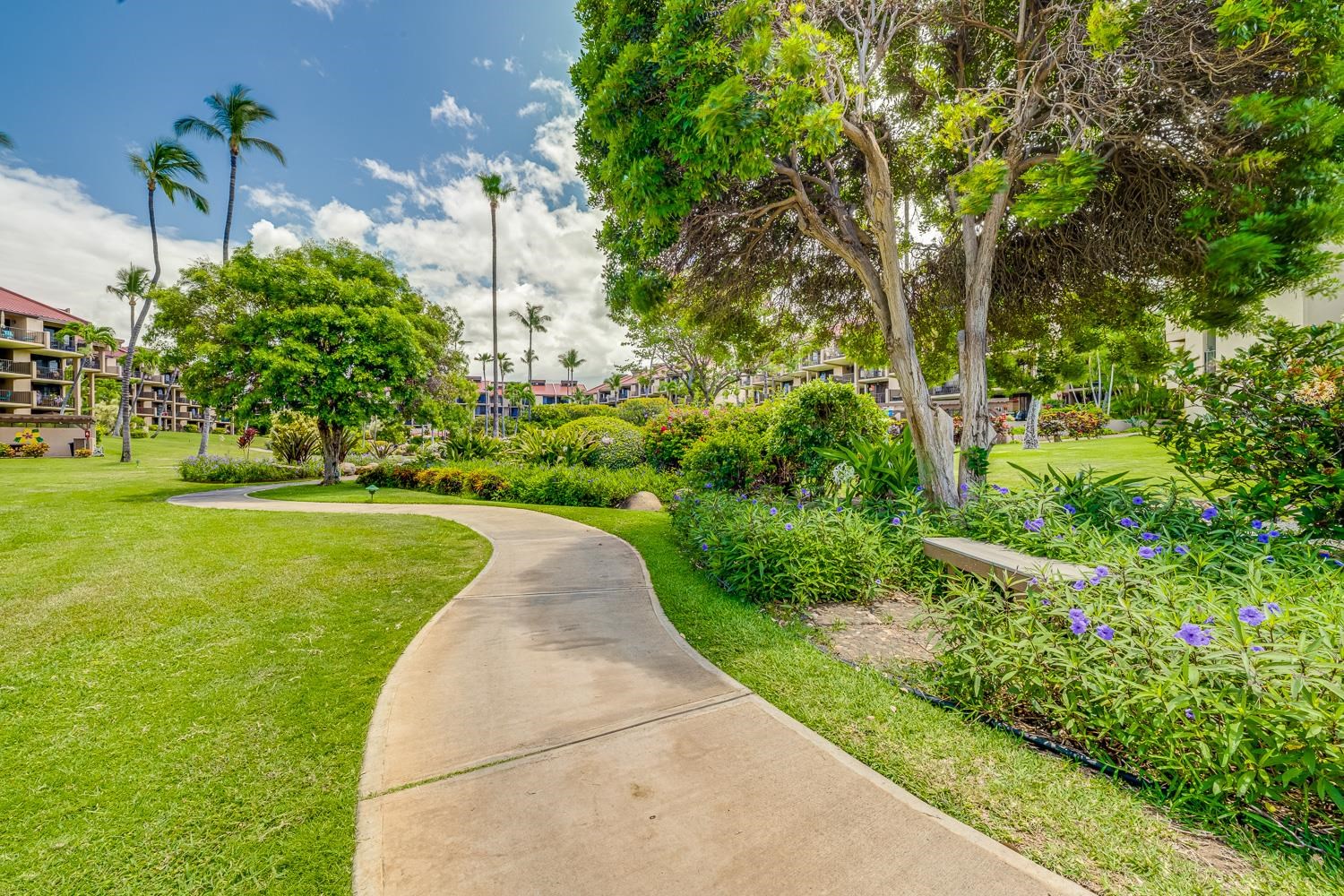 Kamaole Sands condo # 7-304, Kihei, Hawaii - photo 29 of 50