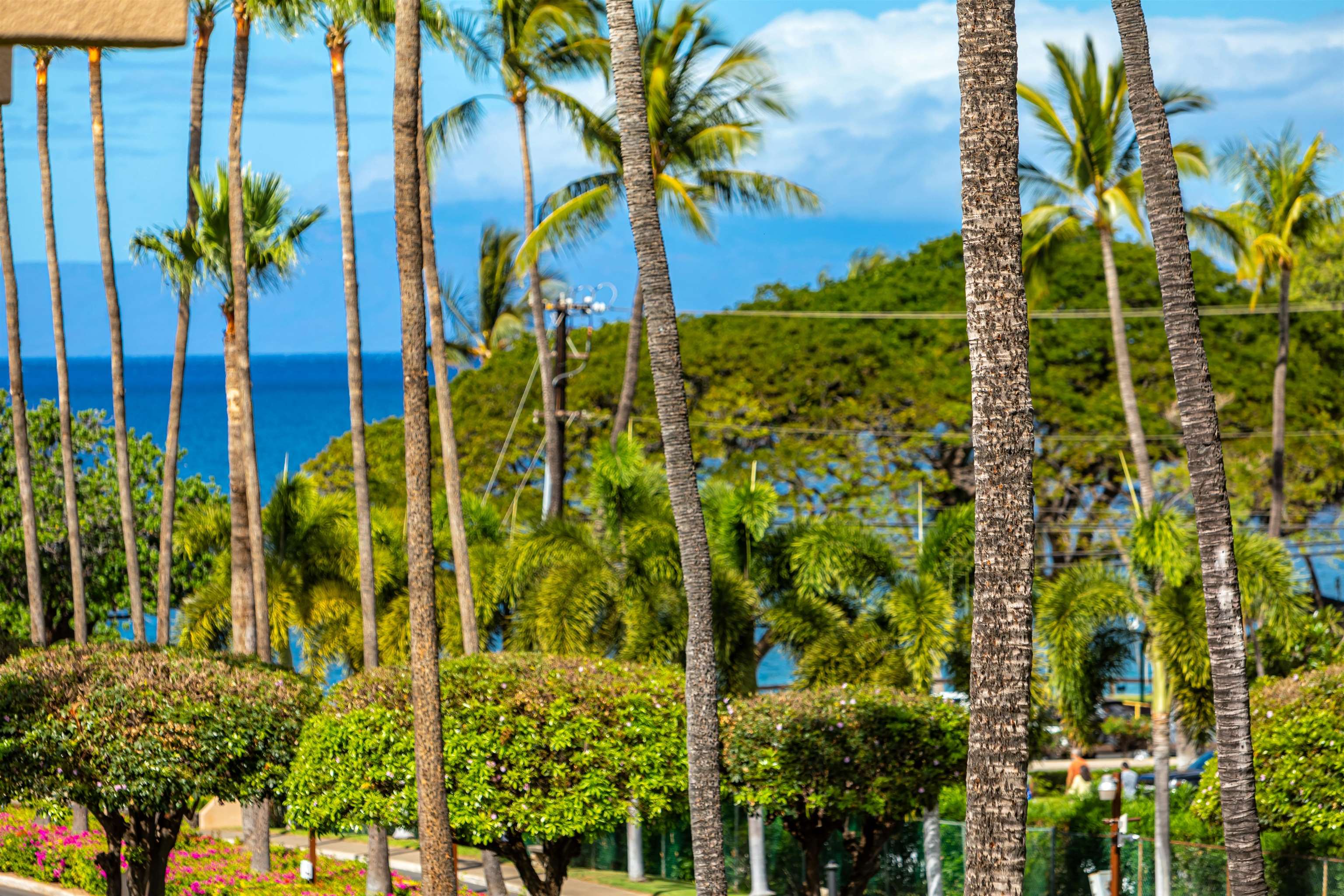 Kamaole Sands condo # 7308, Kihei, Hawaii - photo 13 of 42
