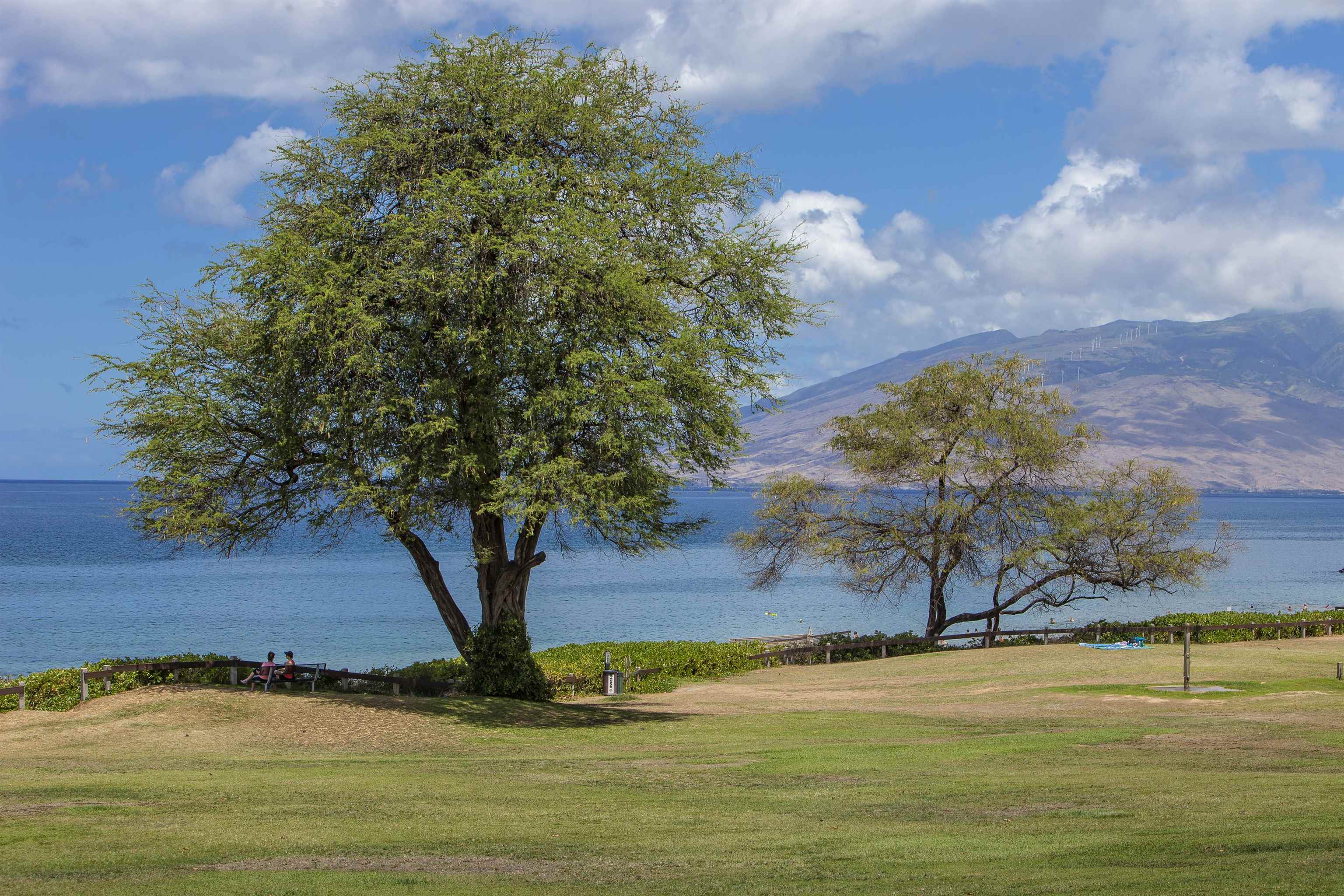 Kamaole Sands condo # 7308, Kihei, Hawaii - photo 22 of 42