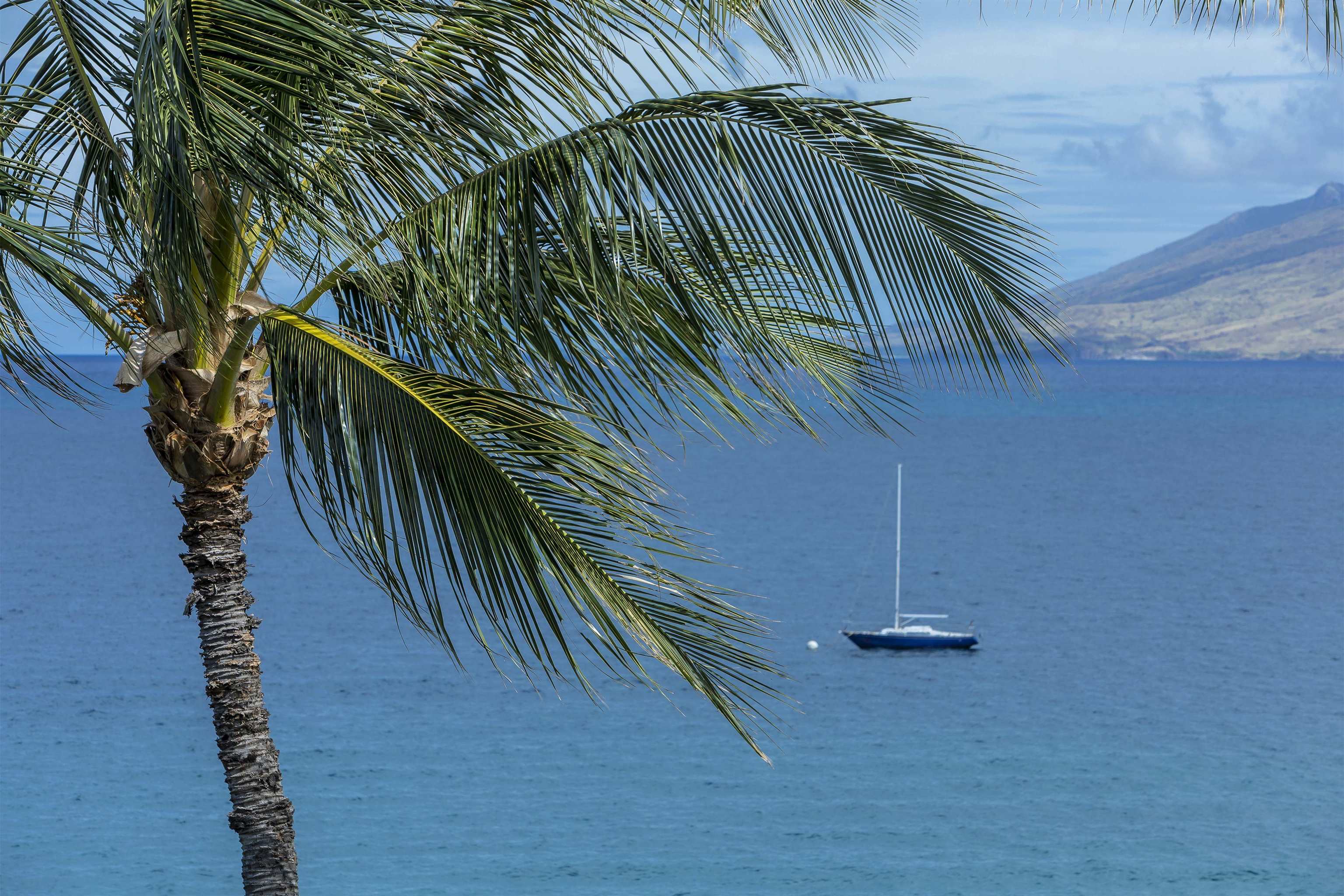 Kamaole Sands condo # 7308, Kihei, Hawaii - photo 23 of 42