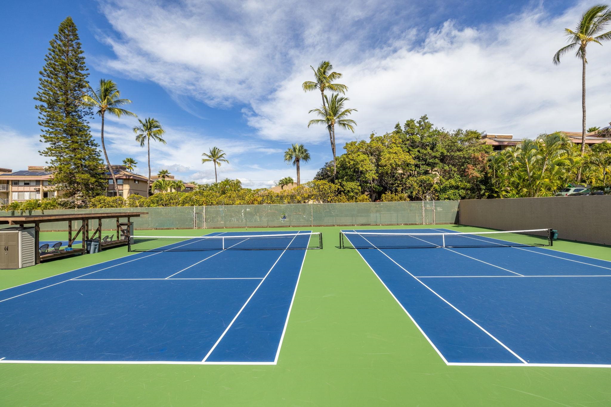 Kamaole Sands condo # 8-409, Kihei, Hawaii - photo 41 of 49