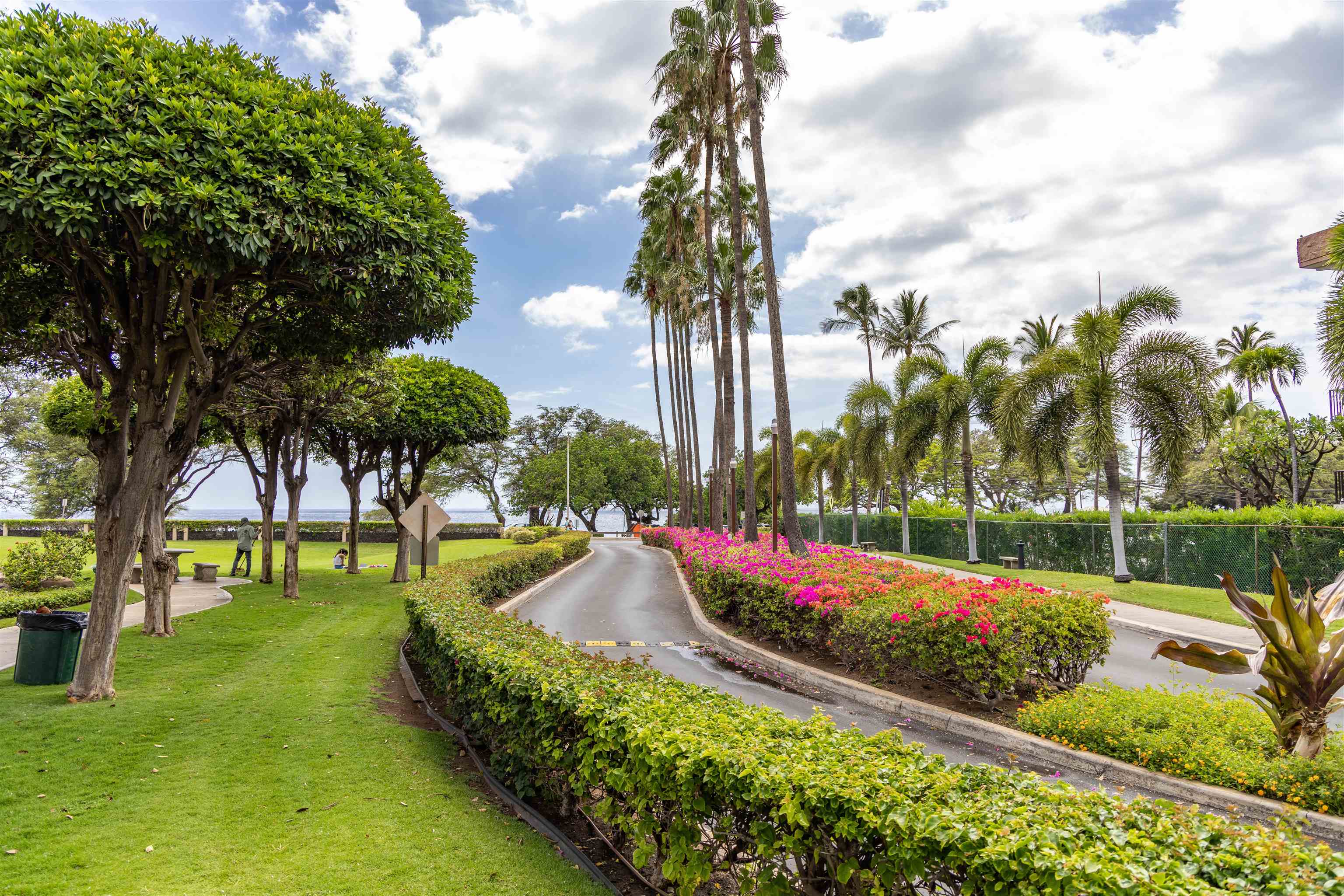 Kamaole Sands condo # 9-209, Kihei, Hawaii - photo 3 of 50