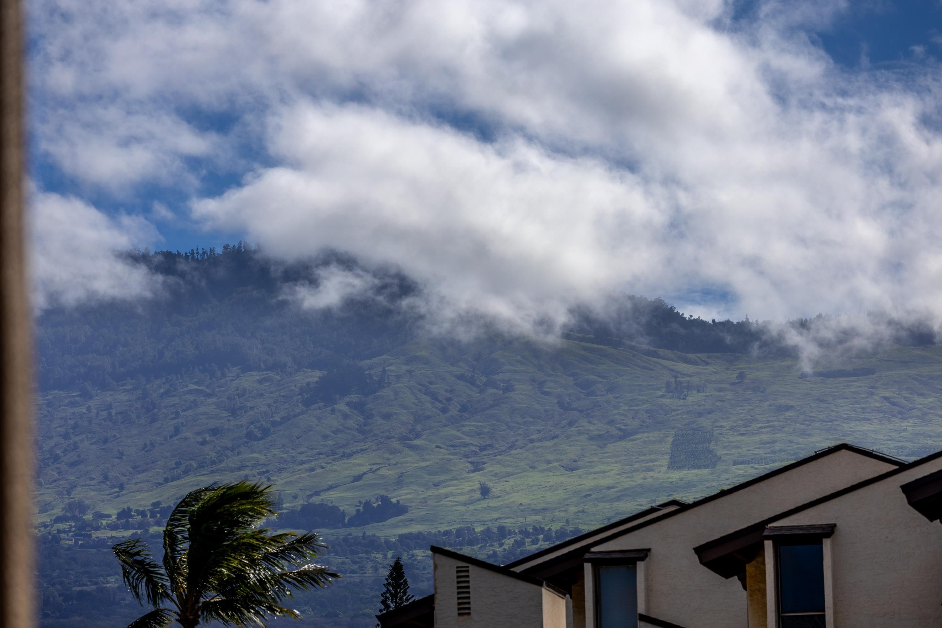Kamaole Sands condo # 9-209, Kihei, Hawaii - photo 28 of 50