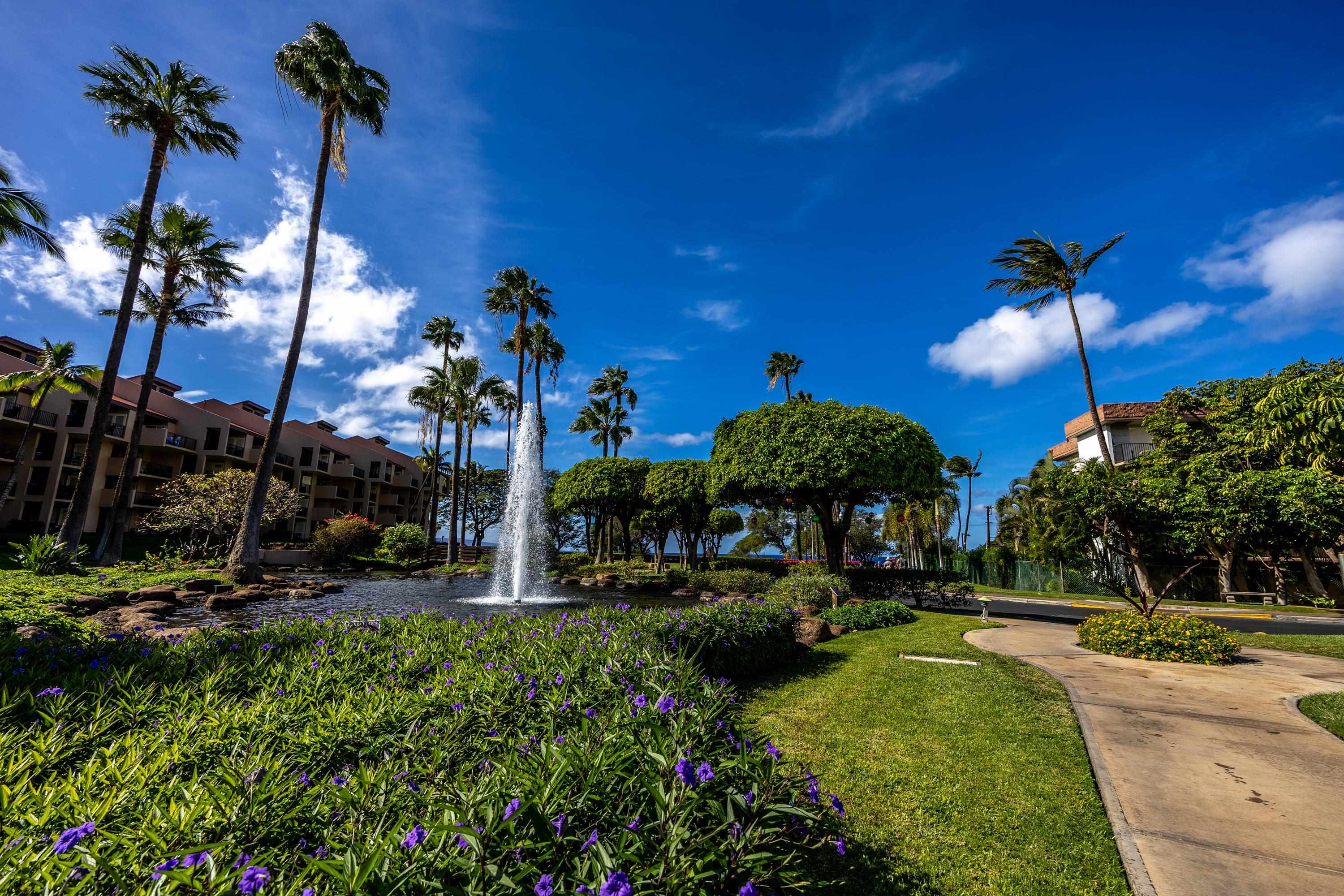 Kamaole Sands condo # 9-209, Kihei, Hawaii - photo 47 of 50