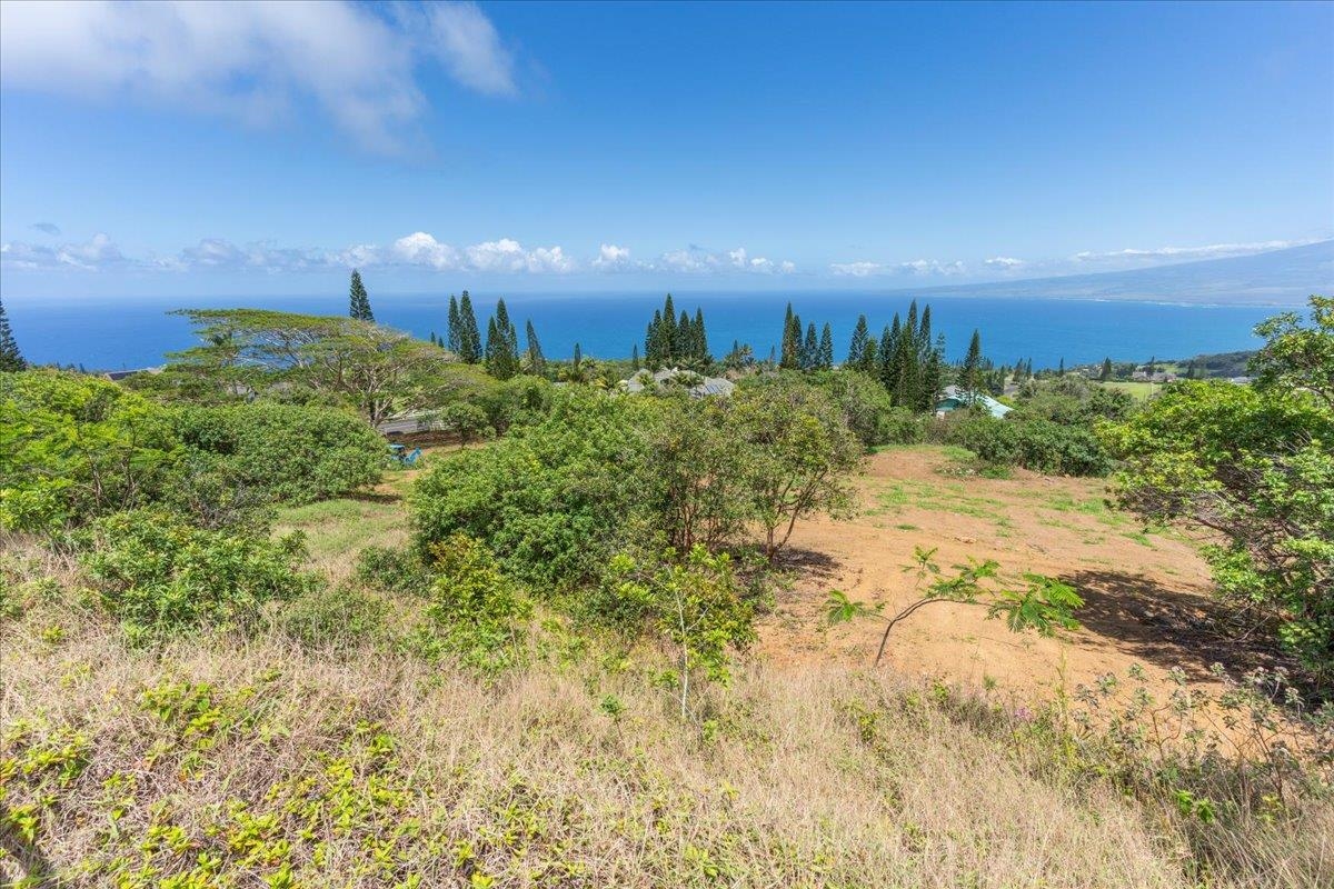 27 Hulumanu Pl Lot 35 Wailuku, Hi vacant land for sale - photo 14 of 25