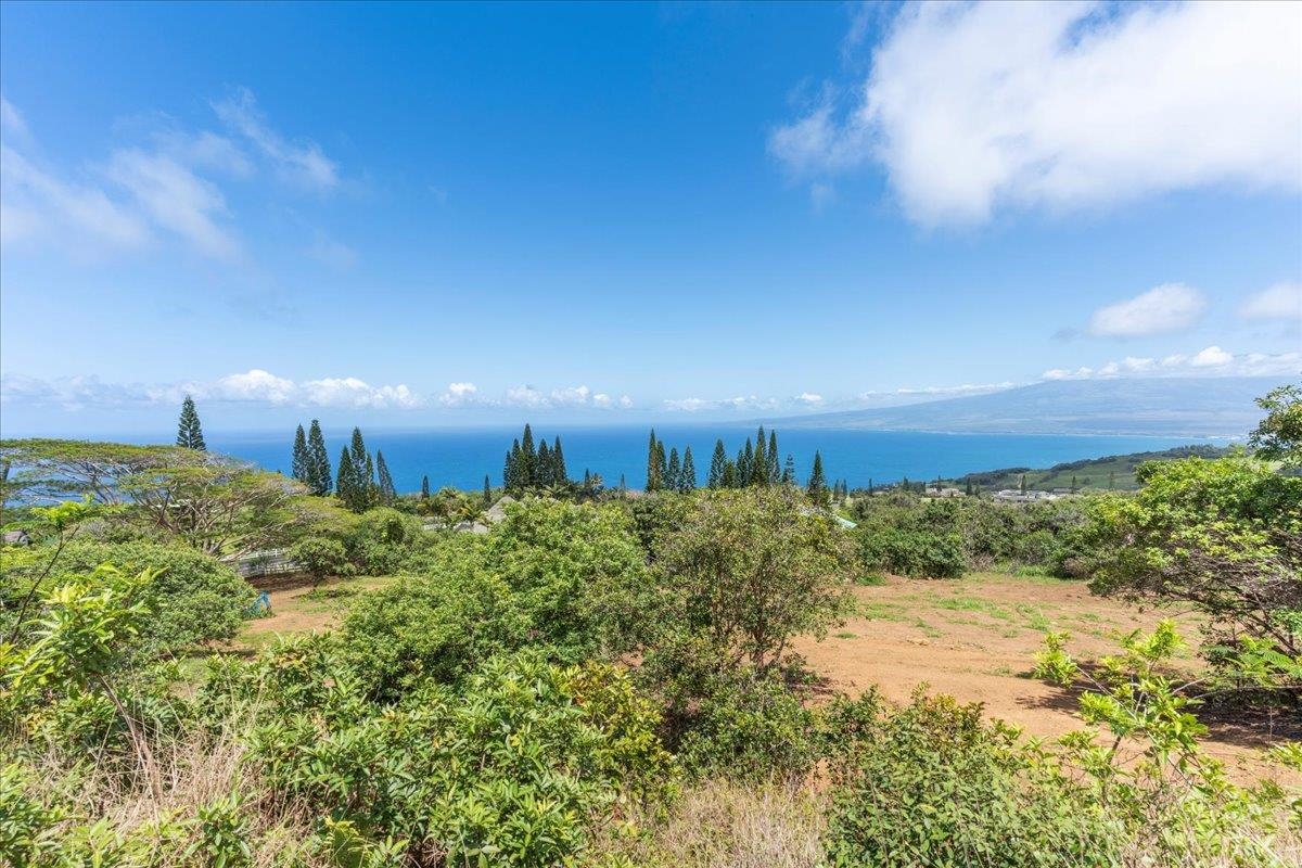 27 Hulumanu Pl Kahakuloa  - photo 12 of 25