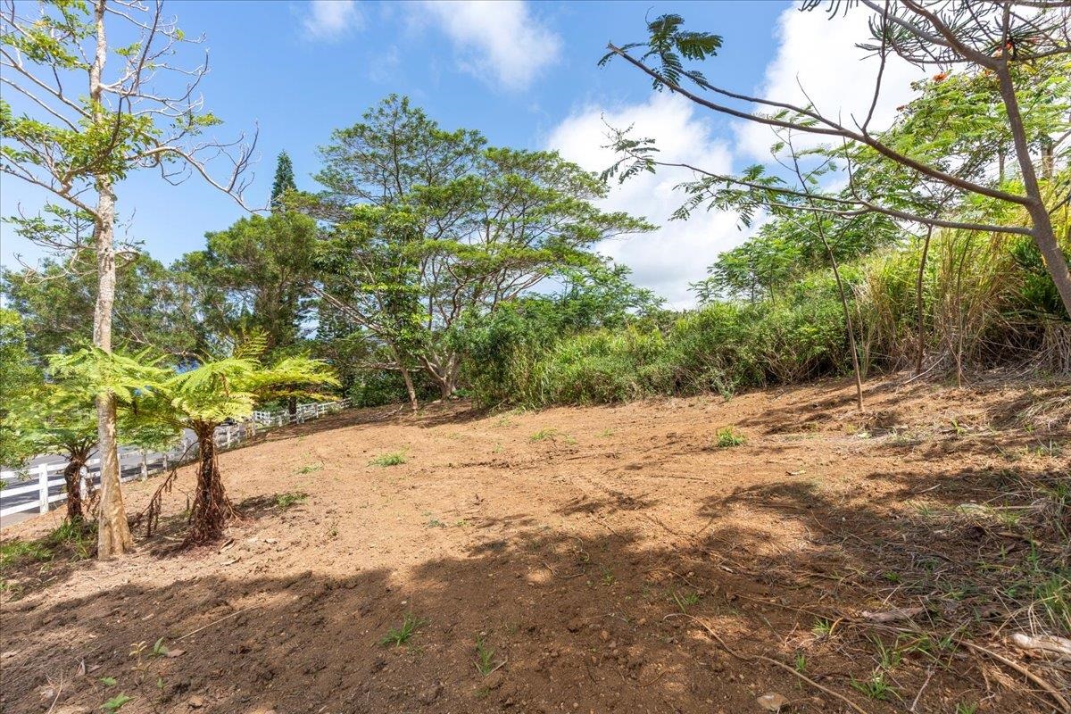 27 Hulumanu Pl Kahakuloa  - photo 17 of 25