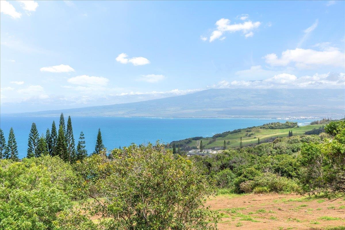 27 Hulumanu Pl Kahakuloa  - photo 21 of 25