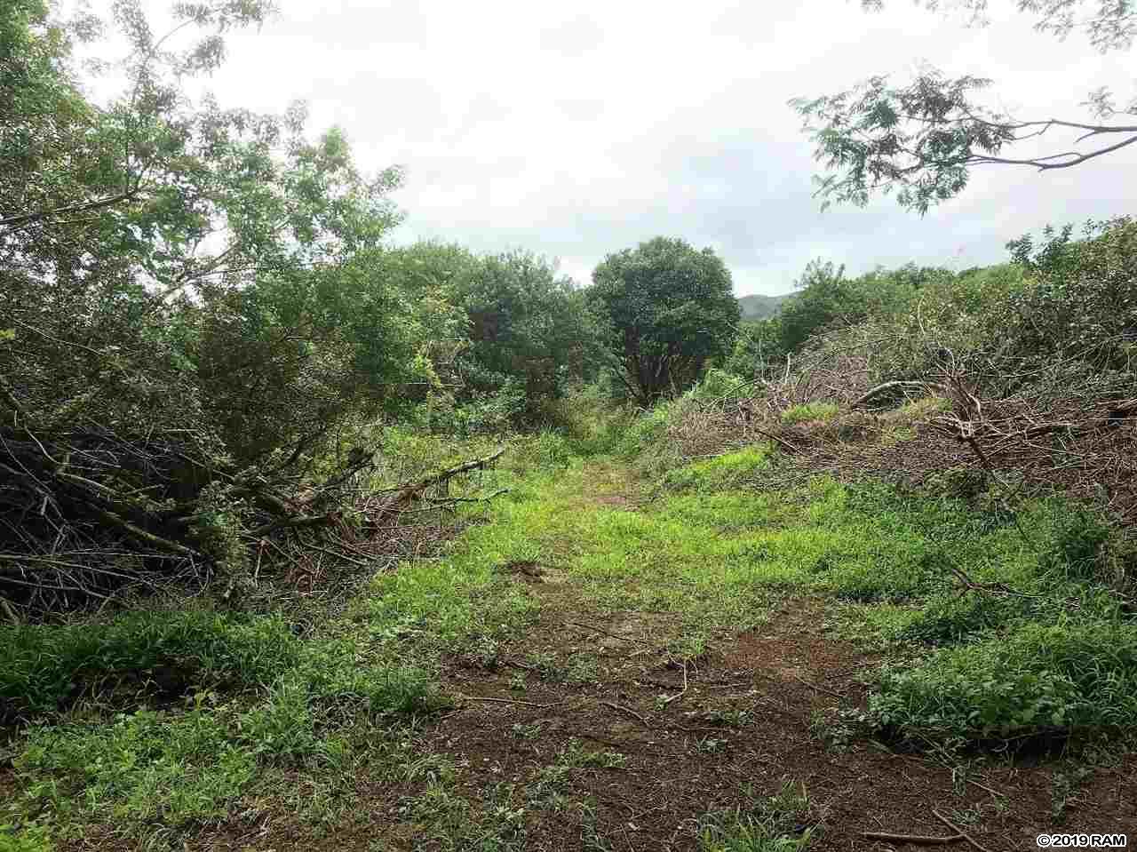 27 Hulumanu Pl MCR 35 Wailuku, Hi vacant land for sale - photo 17 of 23
