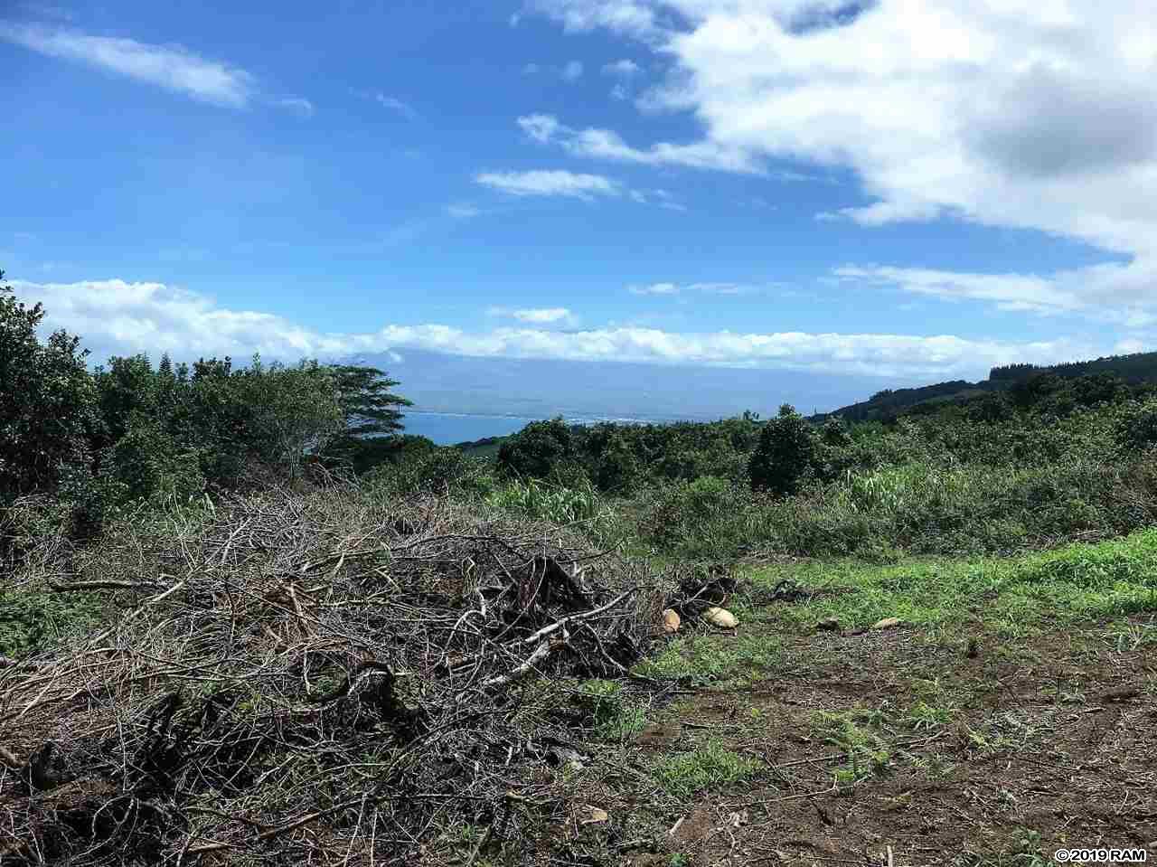 27 Hulumanu Pl MCR 35 Wailuku, Hi vacant land for sale - photo 20 of 23