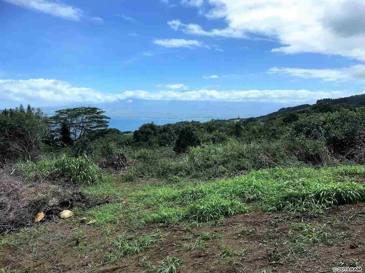 27 Hulumanu Pl MCR 35 Wailuku, Hi vacant land for sale - photo 21 of 23