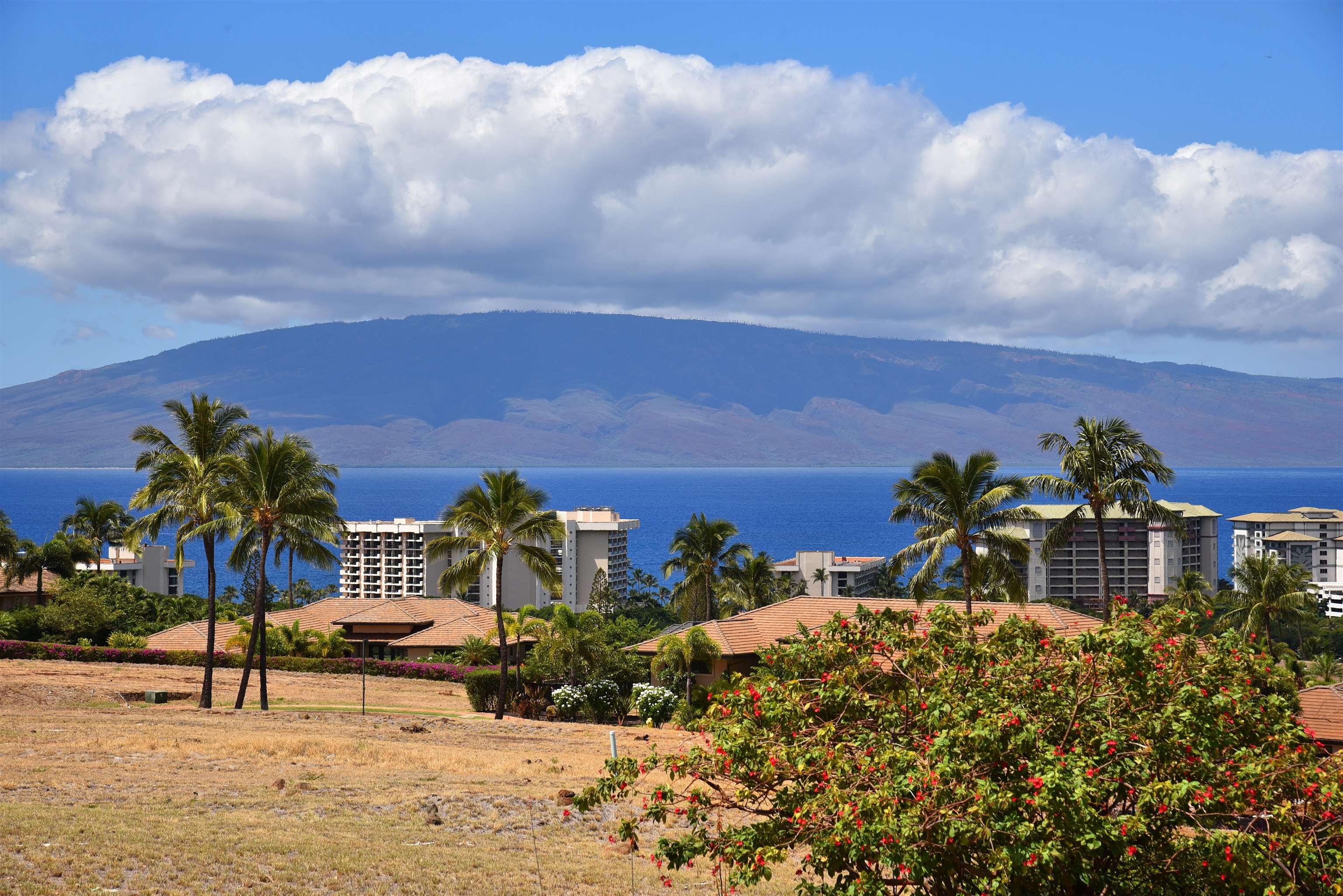 27  Kaulele Pl Kaanapali Golf Estates, Kaanapali home - photo 38 of 50