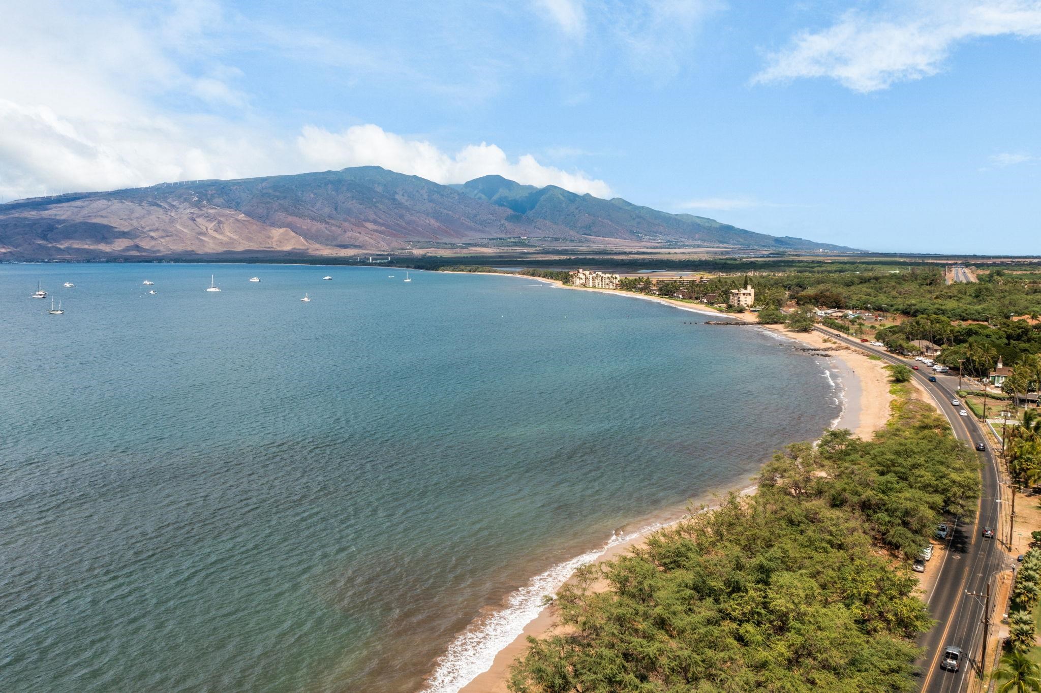 27  Nanialii Pl North Kihei, Kihei home - photo 18 of 42