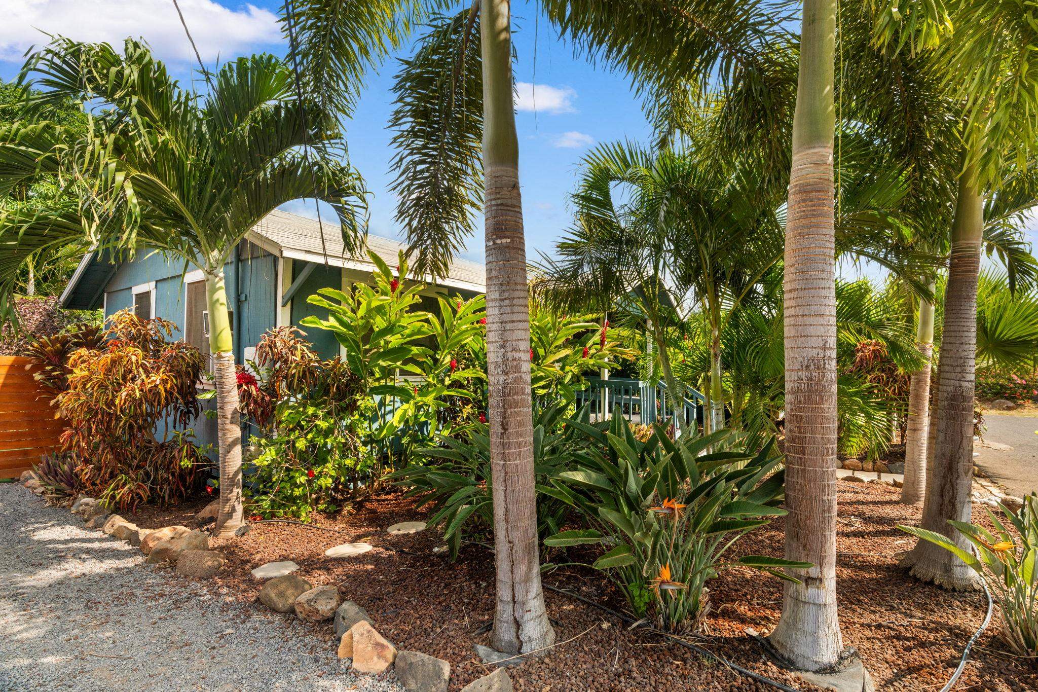 27  Nanialii Pl North Kihei, Kihei home - photo 3 of 42