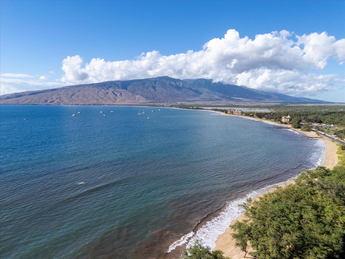 27  Nanialii Pl North Kihei, Kihei home - photo 4 of 48