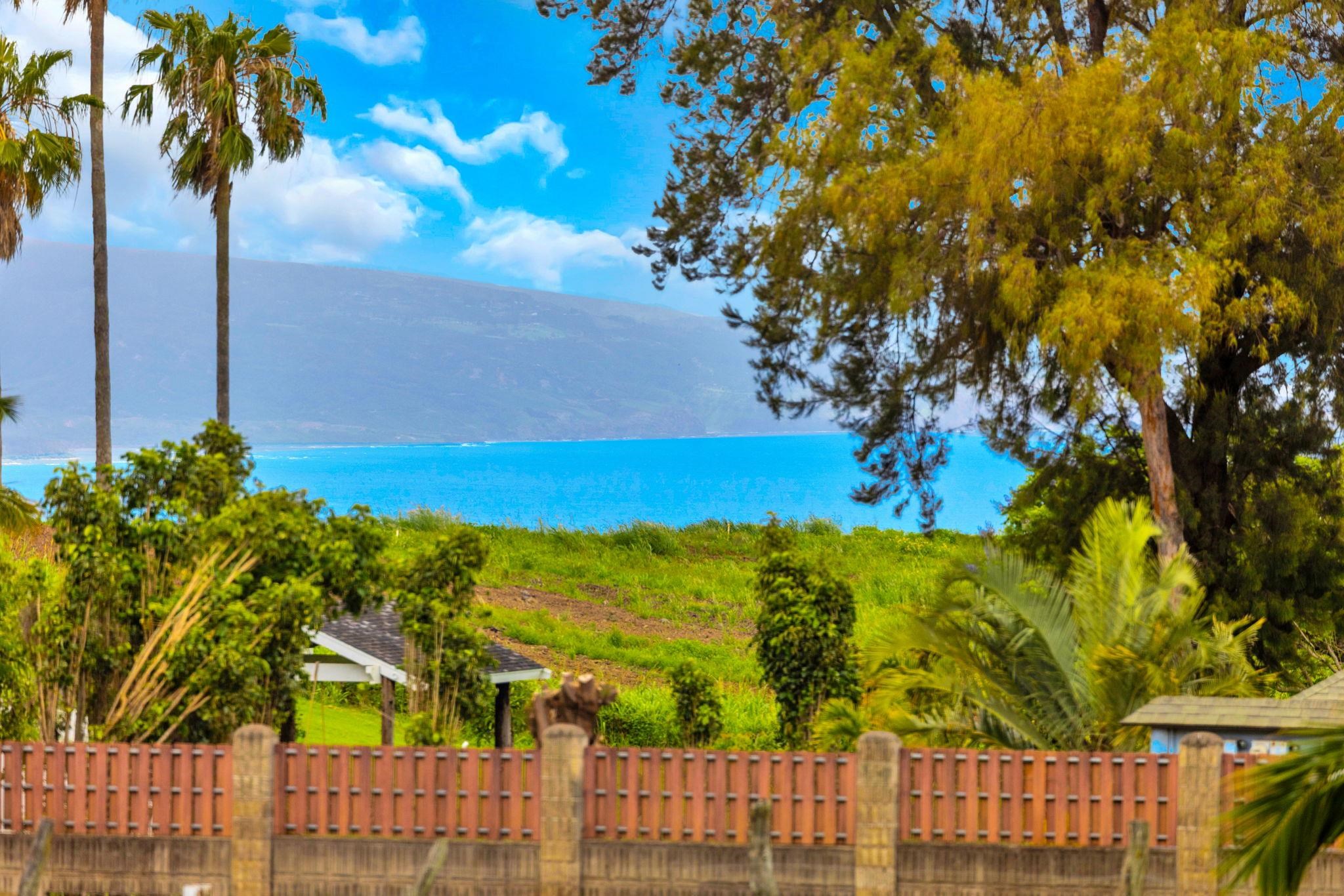 270  Pau Hana Rd , Makawao/Olinda/Haliimaile home - photo 22 of 50