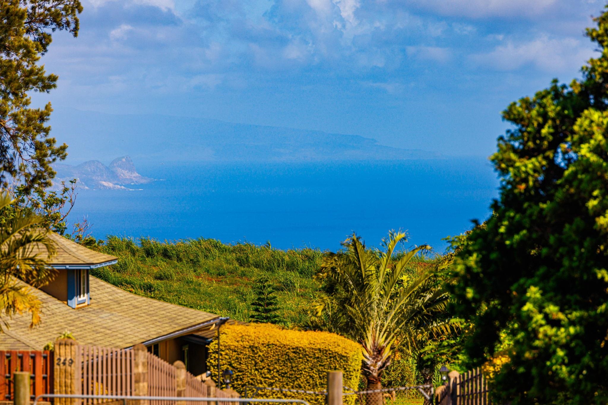 270  Pau Hana Rd , Makawao/Olinda/Haliimaile home - photo 35 of 50