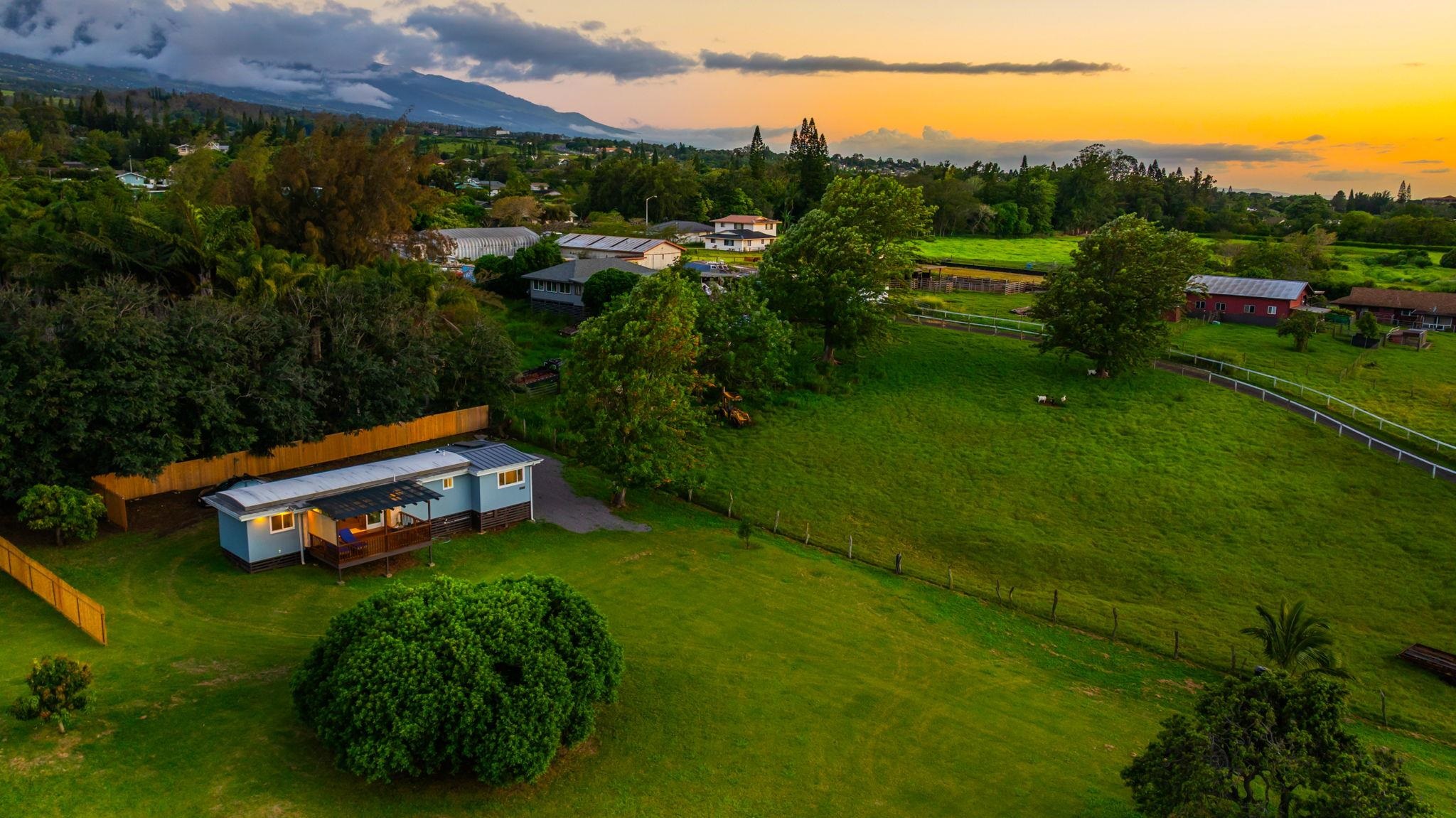 270  Pau Hana Rd , Makawao/Olinda/Haliimaile home - photo 39 of 50