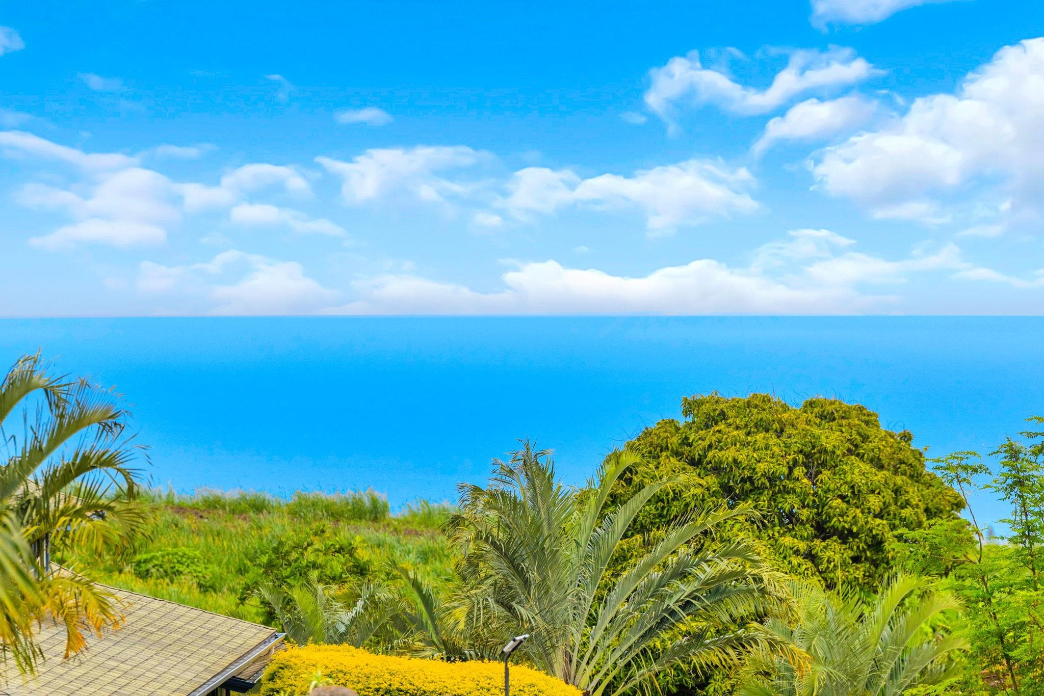 270  Pau Hana Rd , Makawao/Olinda/Haliimaile home - photo 5 of 50