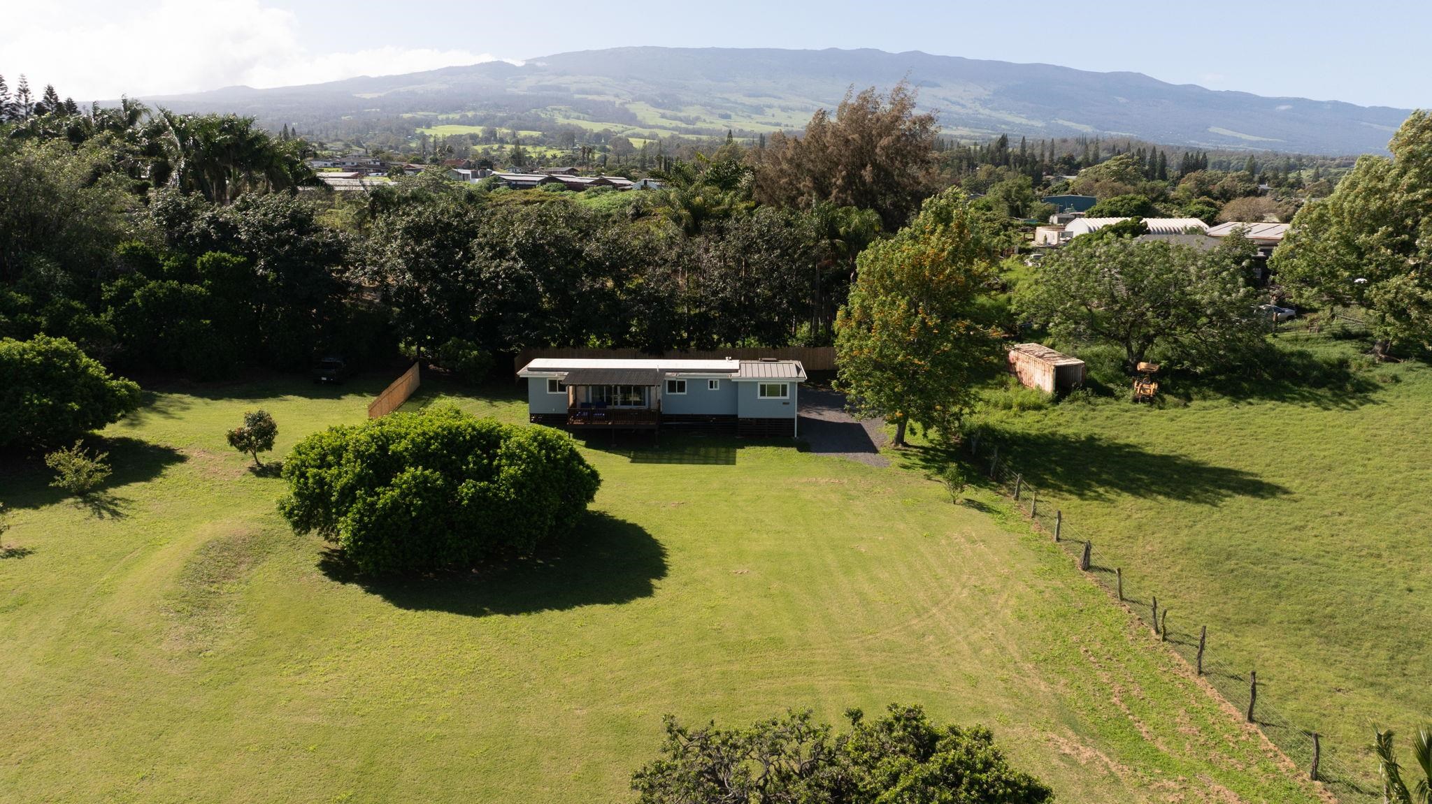 270  Pau Hana Rd , Makawao/Olinda/Haliimaile home - photo 45 of 50