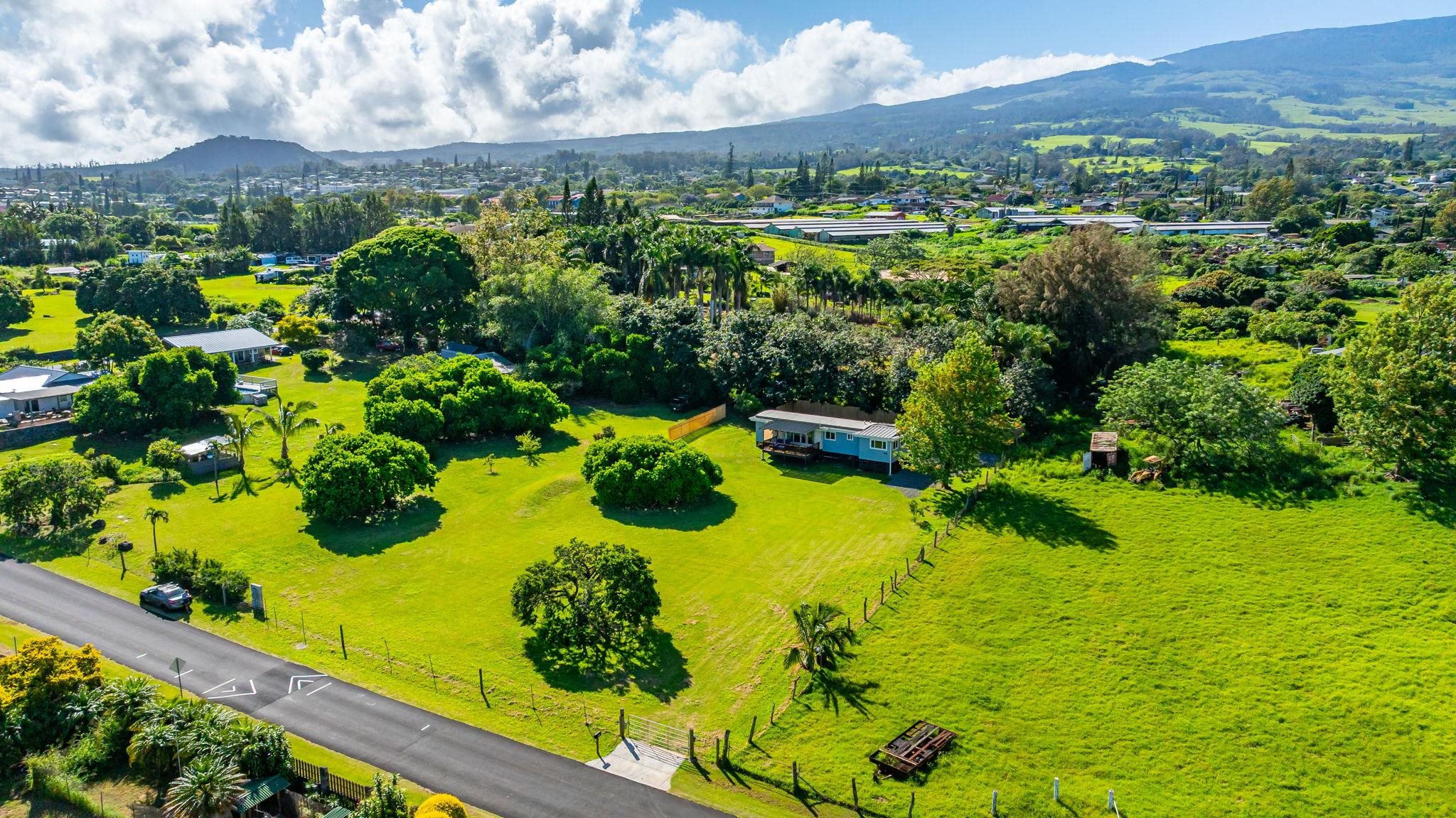 270  Pau Hana Rd , Makawao/Olinda/Haliimaile home - photo 46 of 50