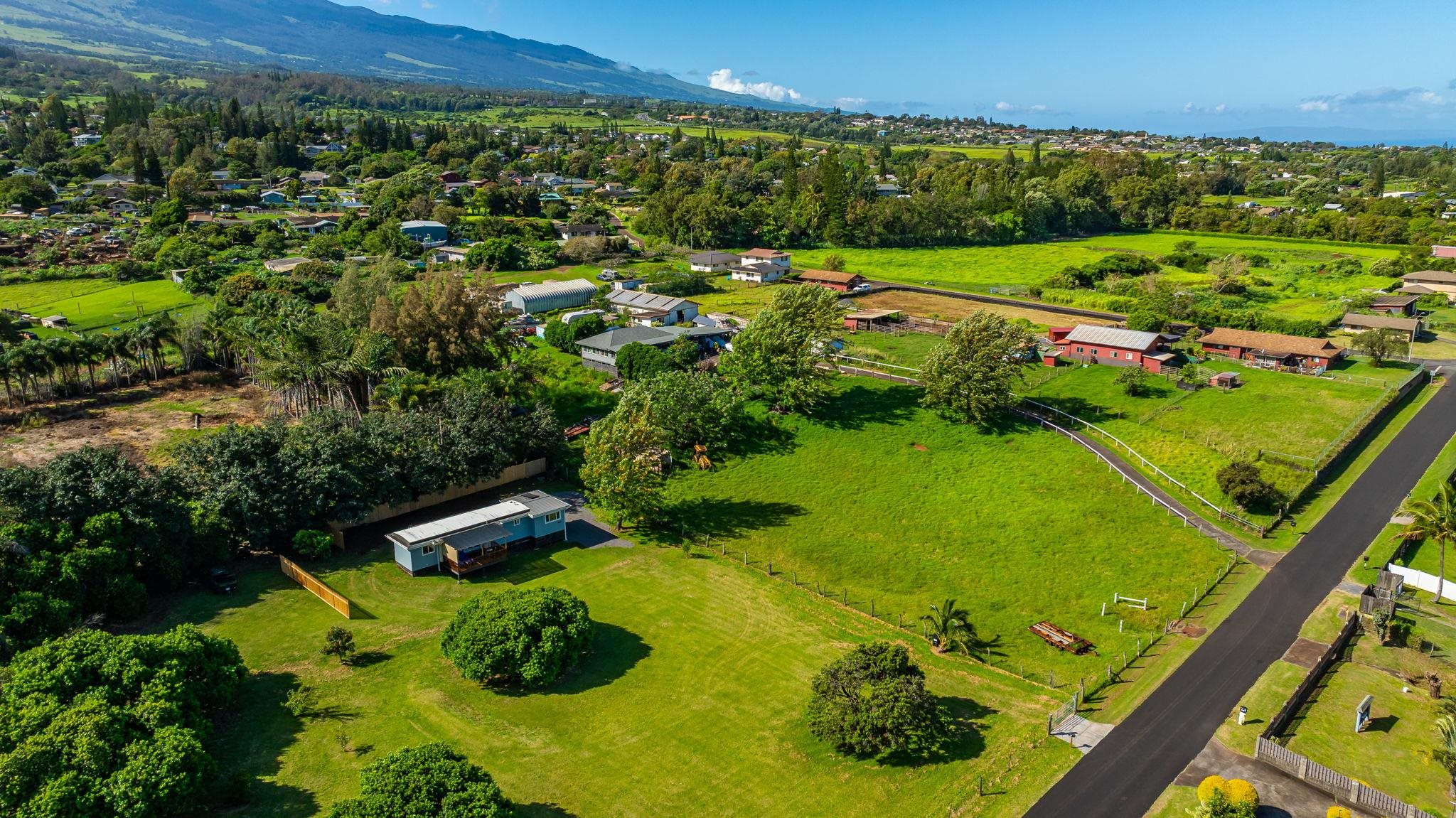 270  Pau Hana Rd , Makawao/Olinda/Haliimaile home - photo 47 of 50