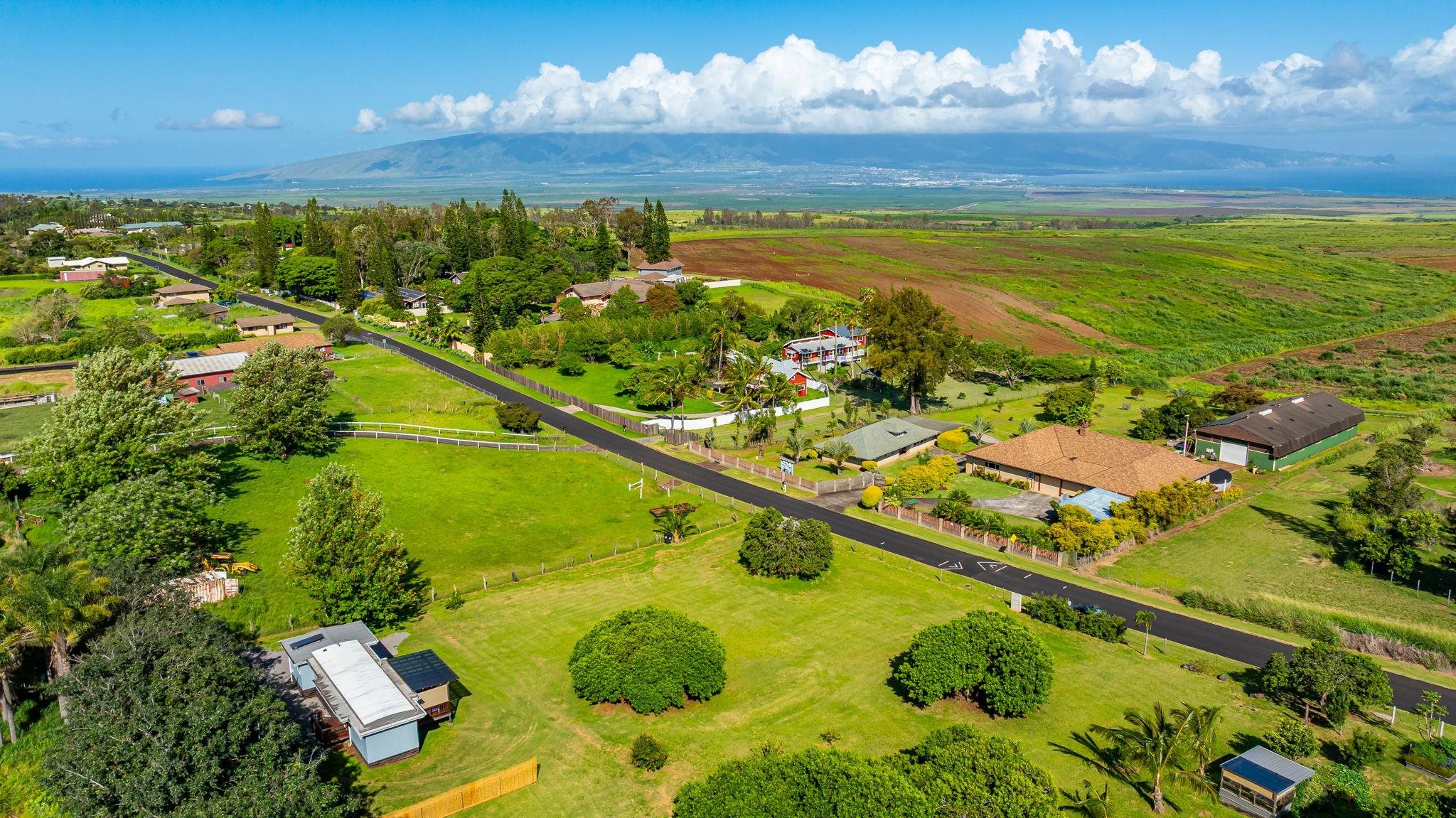 270  Pau Hana Rd , Makawao/Olinda/Haliimaile home - photo 48 of 50