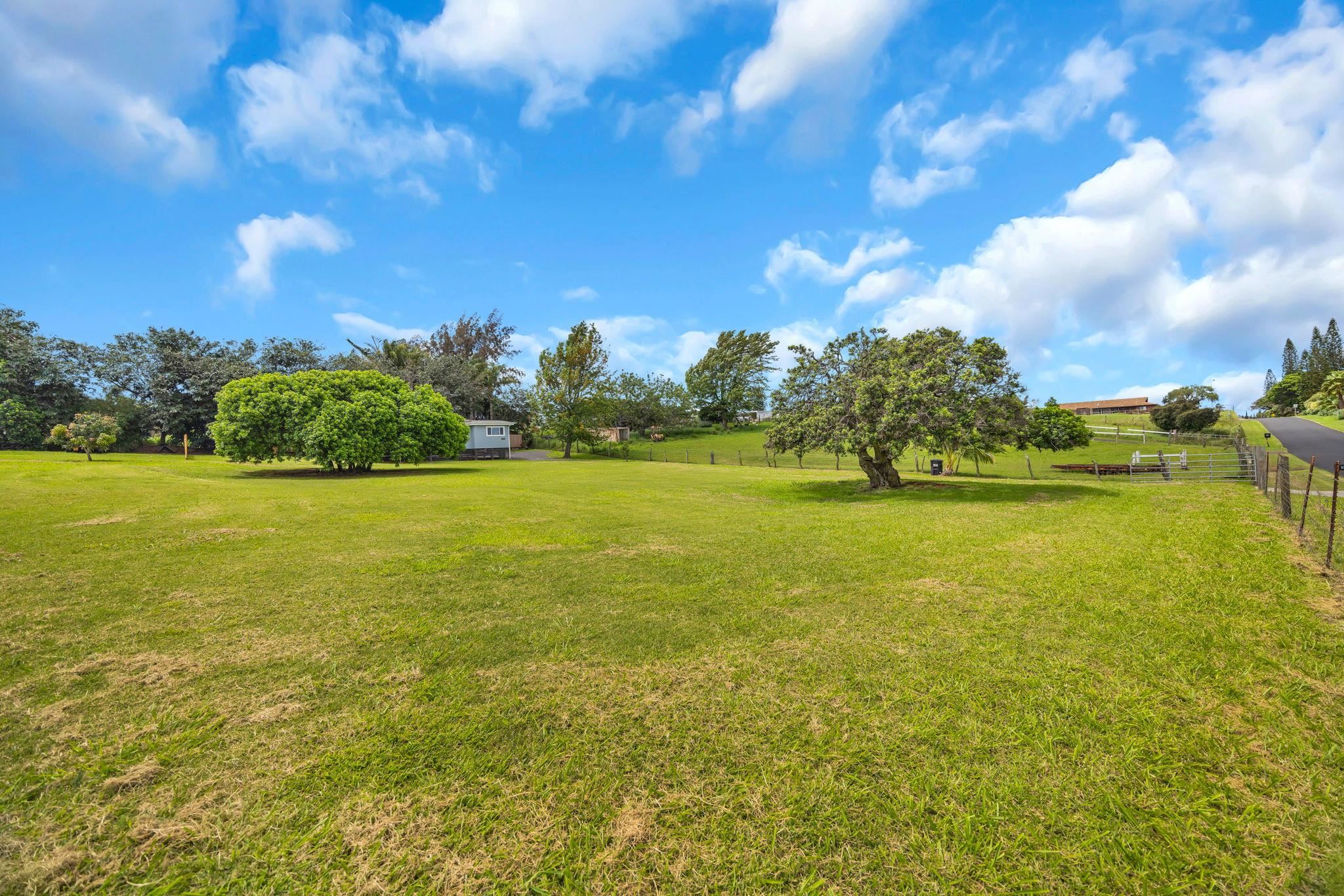 270  Pau Hana Rd , Makawao/Olinda/Haliimaile home - photo 49 of 50