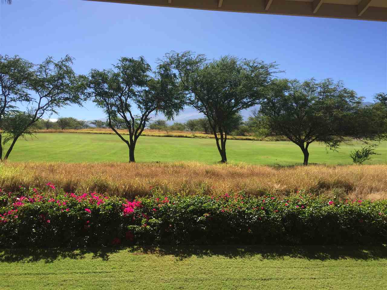 Hokulani Golf Villas condo # 41, Kihei, Hawaii - photo 29 of 30
