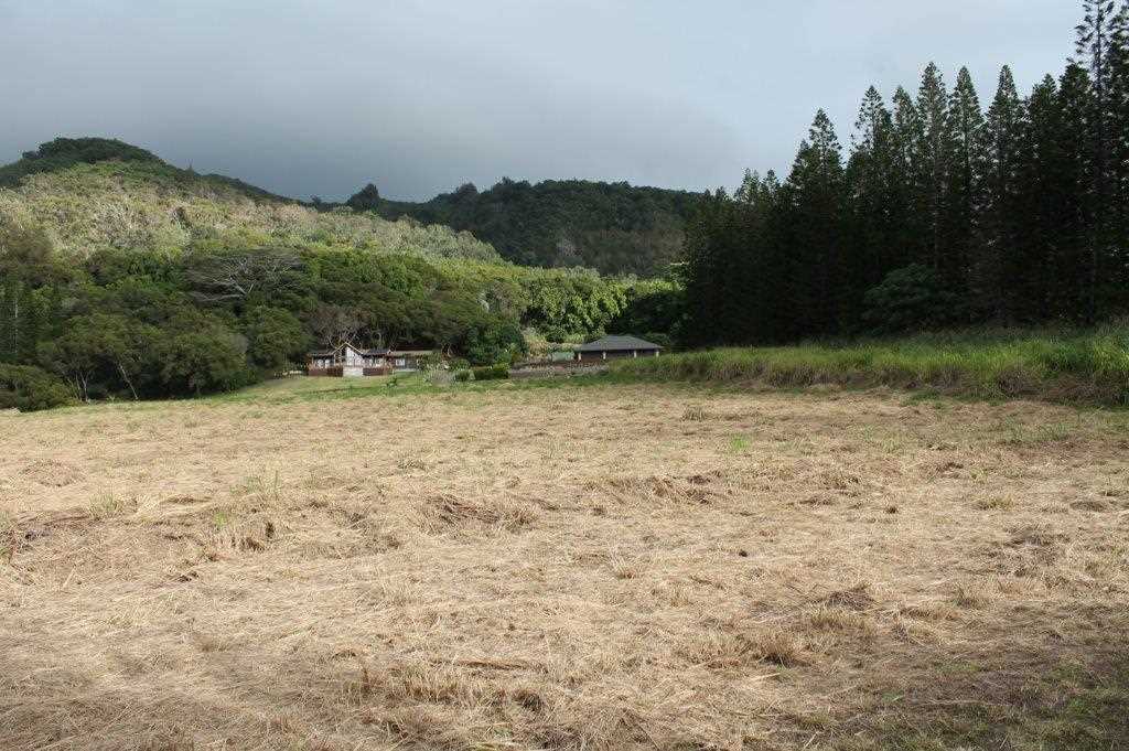 2711 Kamaile St 135 Wailuku, Hi vacant land for sale - photo 13 of 22