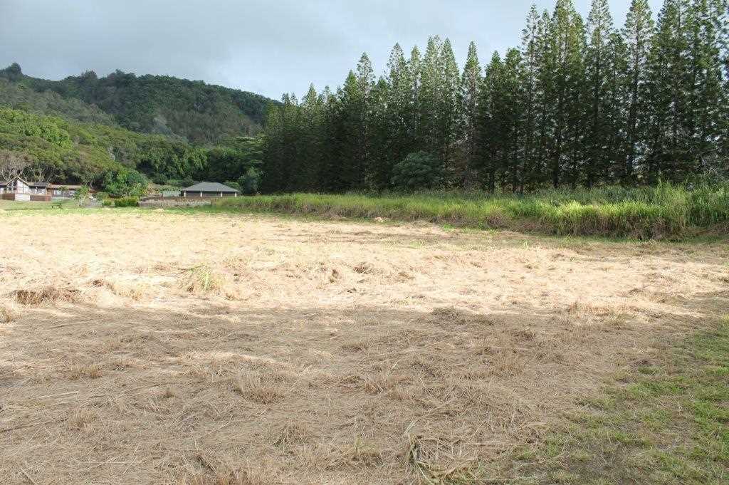 2711 Kamaile St 135 Wailuku, Hi vacant land for sale - photo 14 of 22