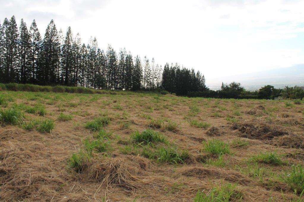 2711 Kamaile St 135 Wailuku, Hi vacant land for sale - photo 20 of 22