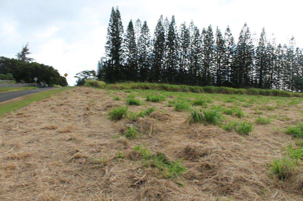 2711 Kamaile St 135 Wailuku, Hi vacant land for sale - photo 21 of 22